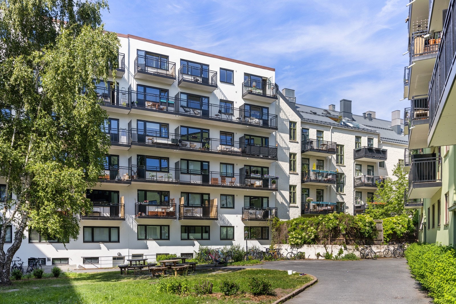 Gårdsrommet har ellers flott beplatning, gressplen og gangstier. Galleribilde