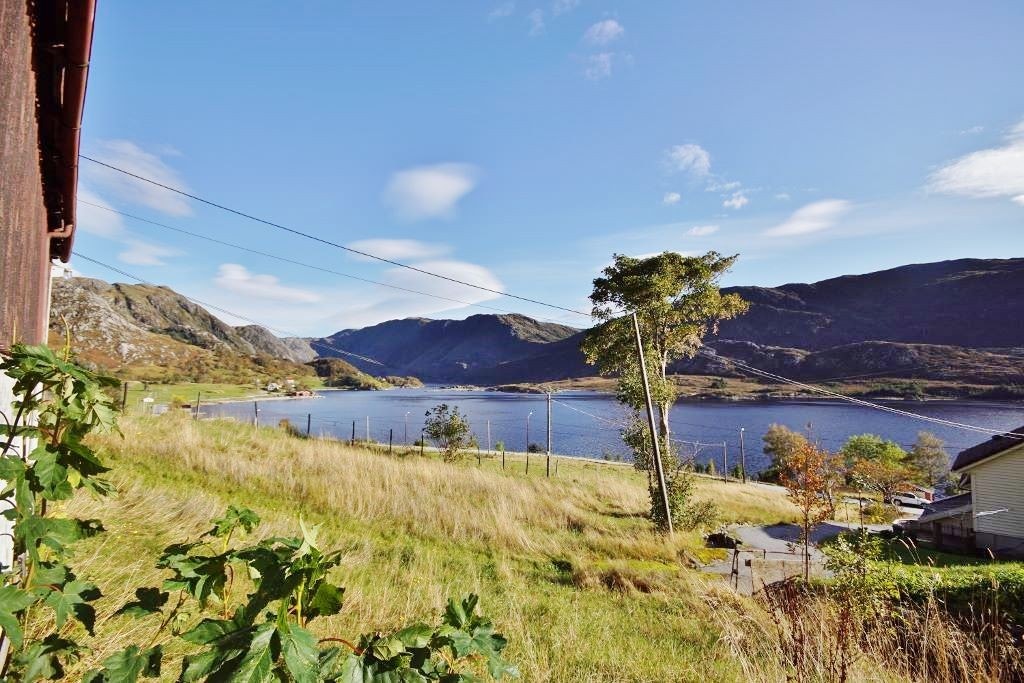 Flott natur! Galleribilde