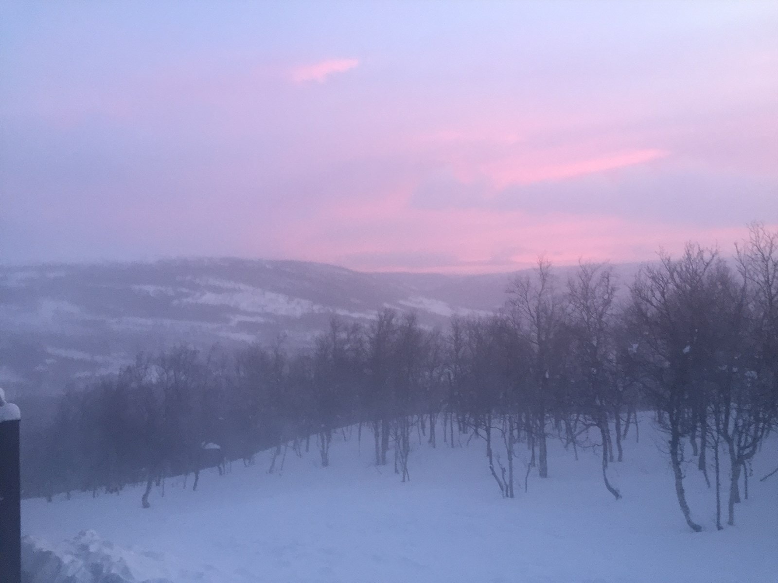 Selgers eget foto Galleribilde