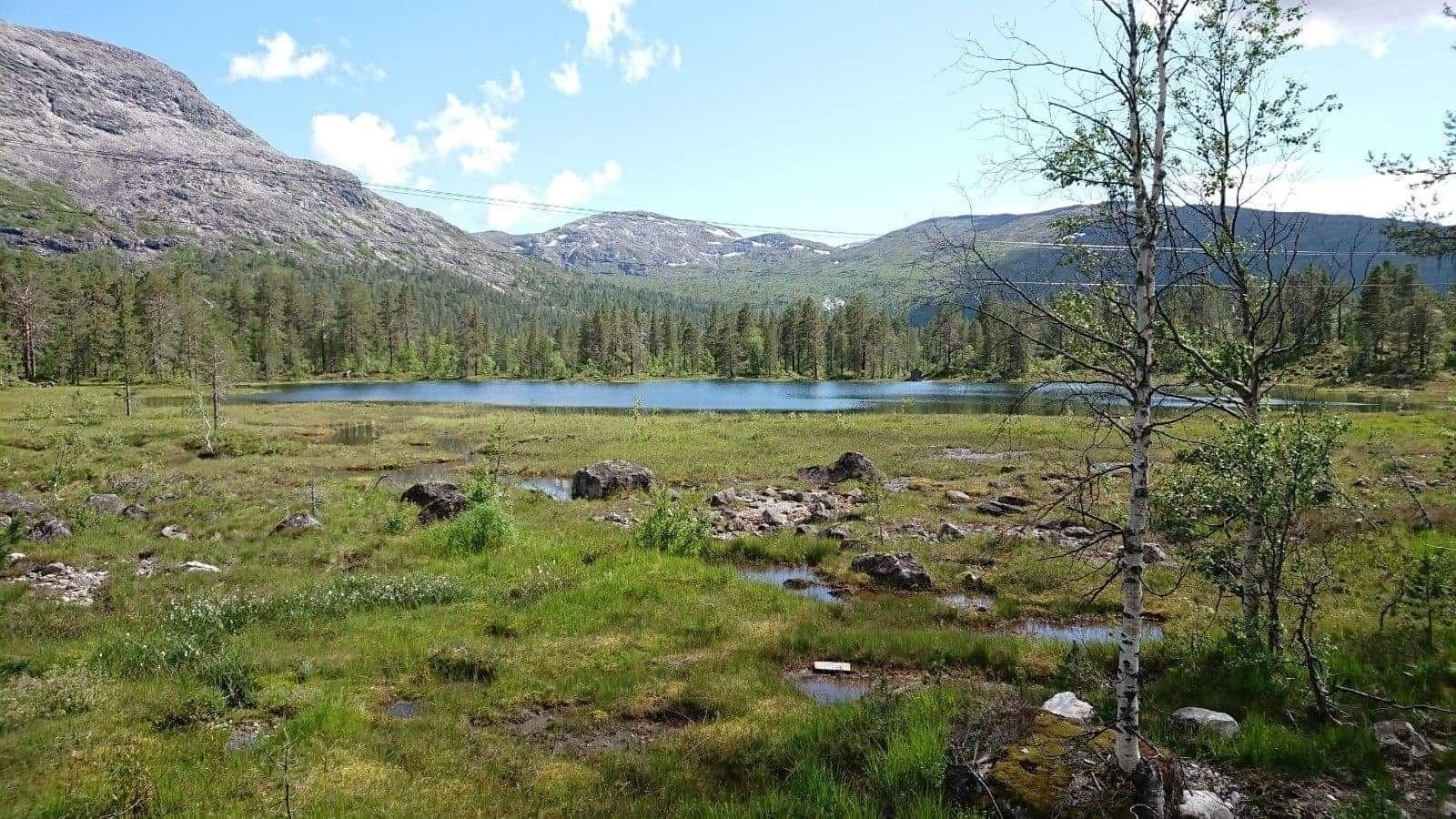 Nydelig natur i nærområdet Galleribilde