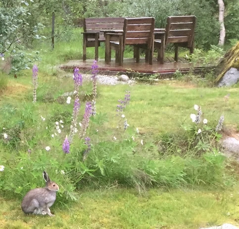 Besøk på tunet Galleribilde