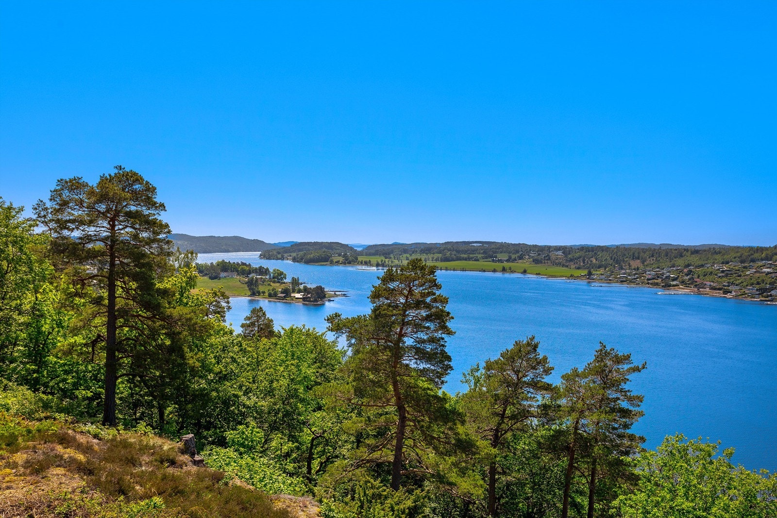 Utsikt! Galleribilde