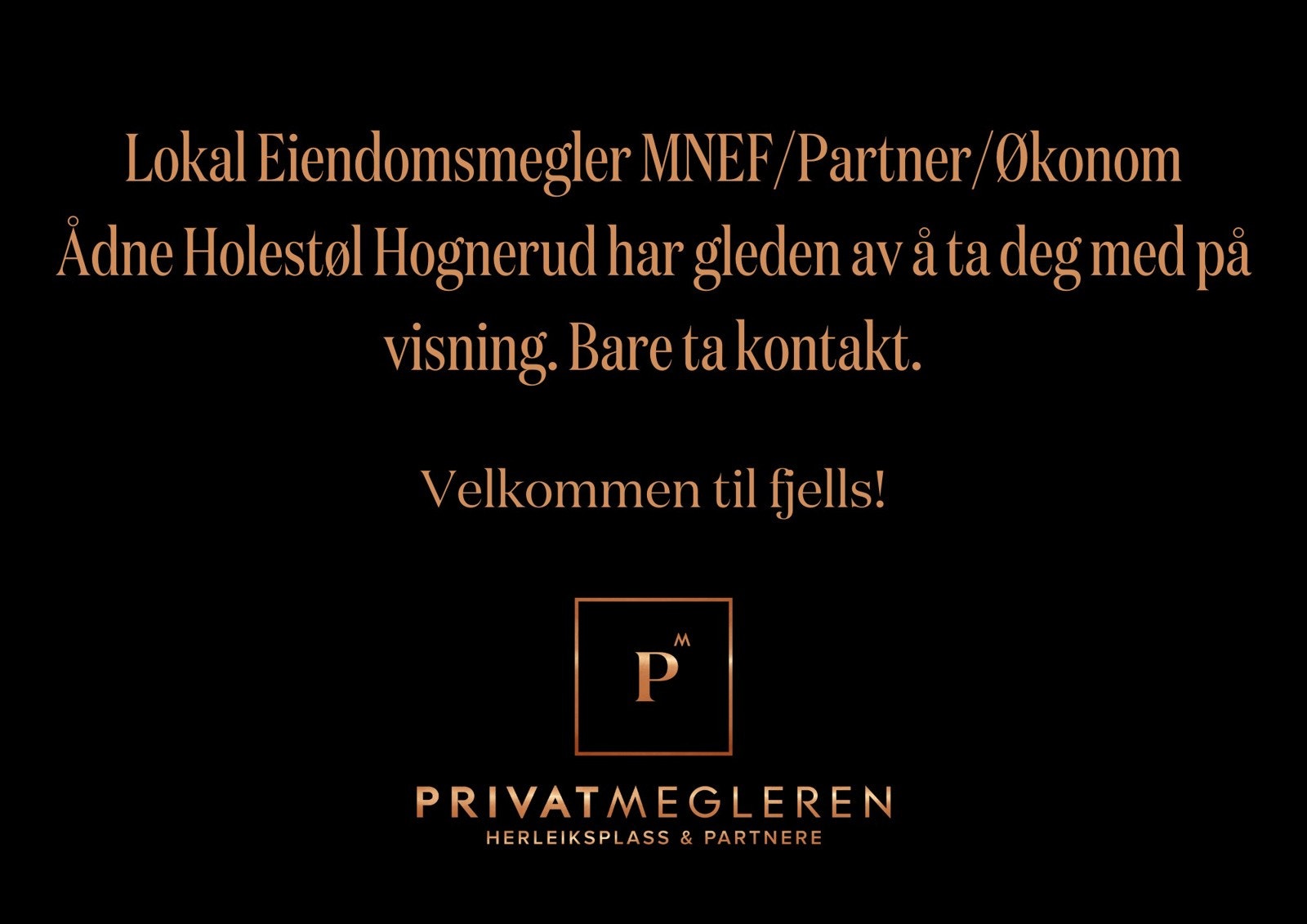 Velkommen til visning! Galleribilde