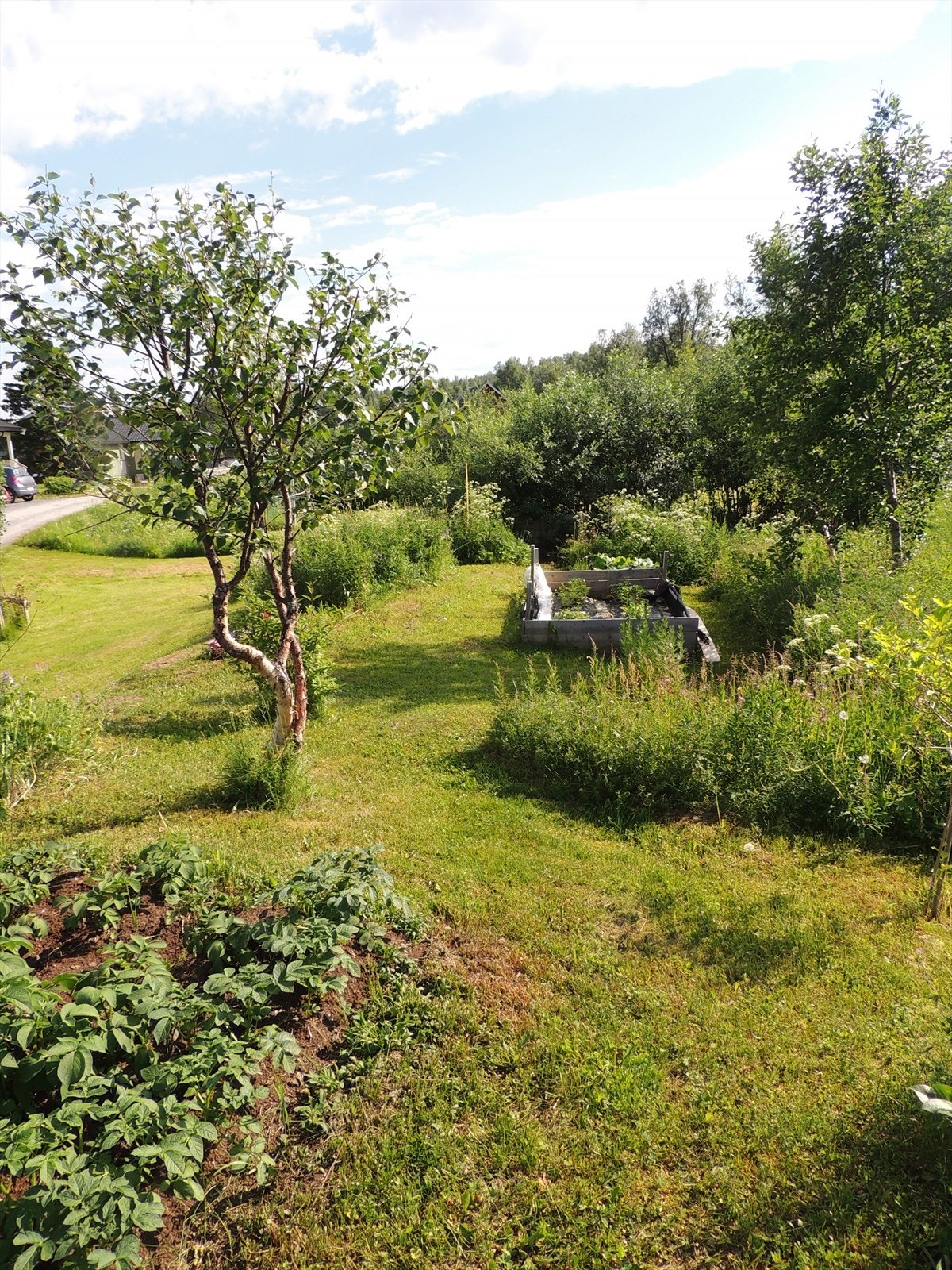 Pent uteområde. Bilde er privat/selgers. Galleribilde