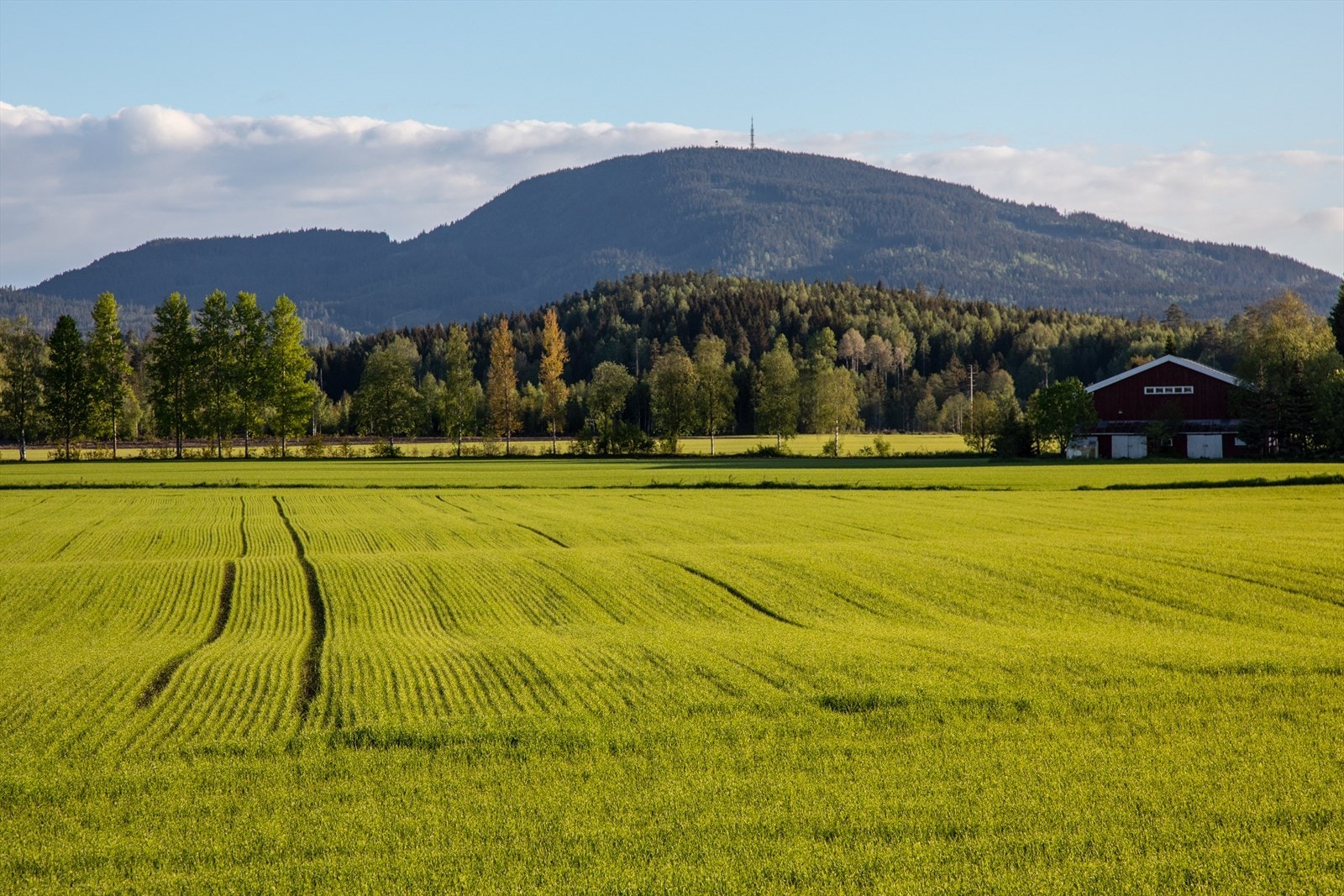 Herlige landskap i nærområdet. Galleribilde