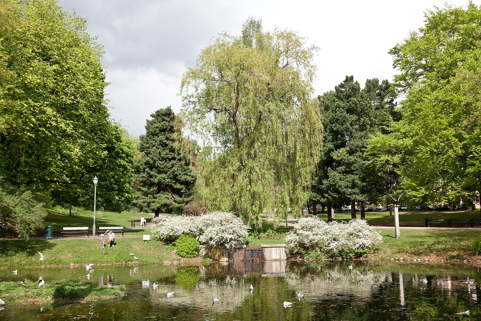 Av treningssentre kan man velge mellom bla. SATS Ila og Ringnes Park, Fresh på St.Hanshaugen Senter, Athletica på Vulkan m.m. Galleribilde