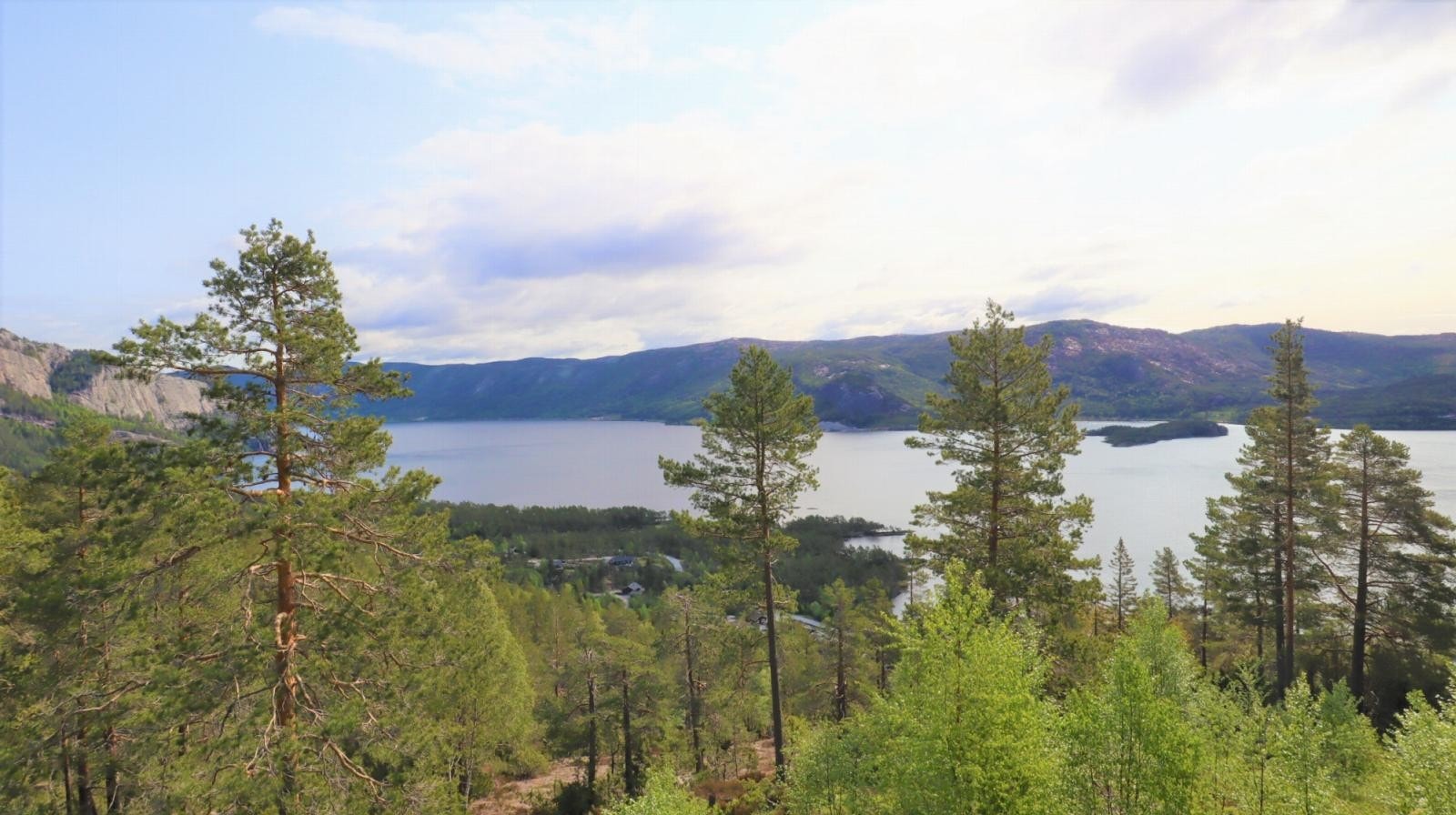 Utsikt fra felt 1 Galleribilde