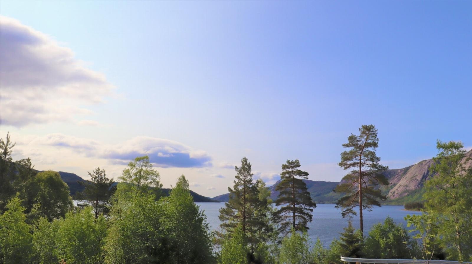 Utsikt fra felt 1 Galleribilde