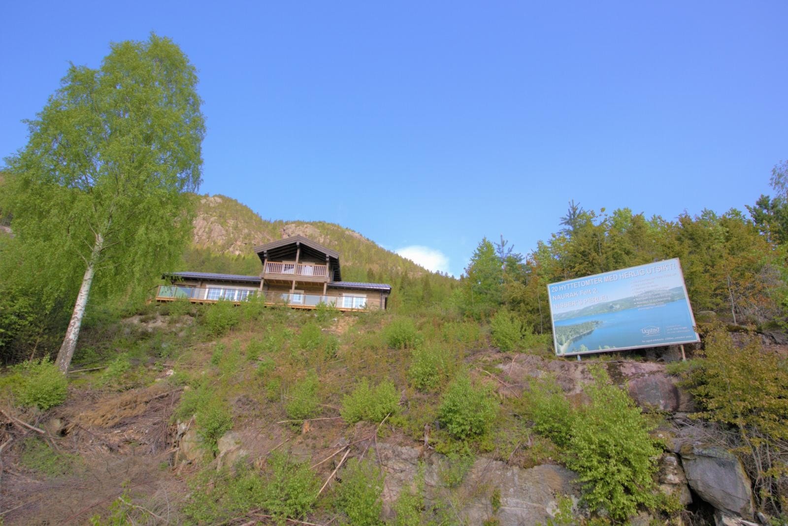 Fra felt 2 Galleribilde