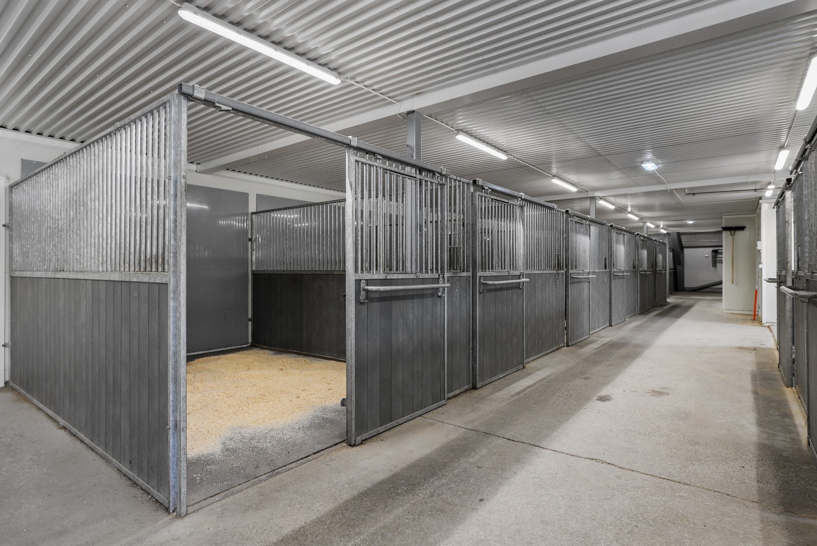 Stallplass Galleribilde