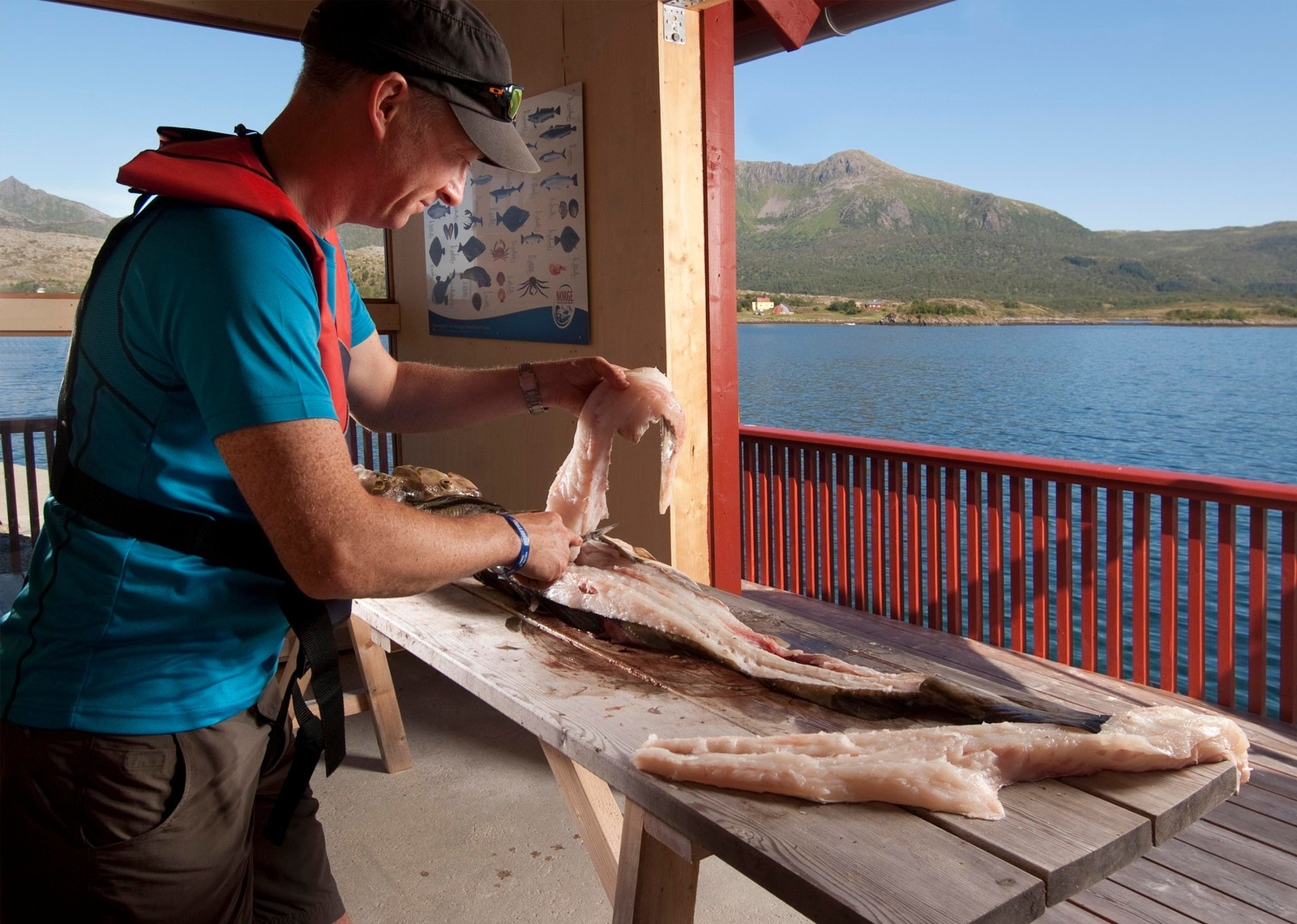 Rikelige fiskemuligheter i fjorden! Galleribilde