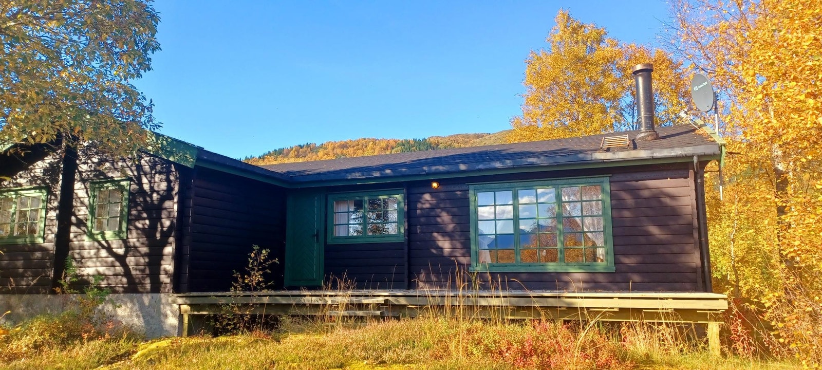 Høst Galleribilde