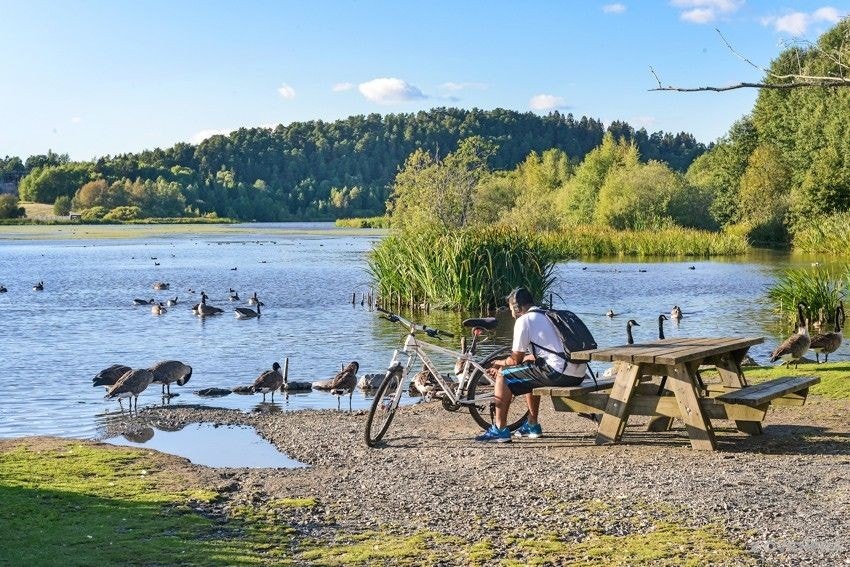Østensjøvannet- er rett i nærheten Galleribilde