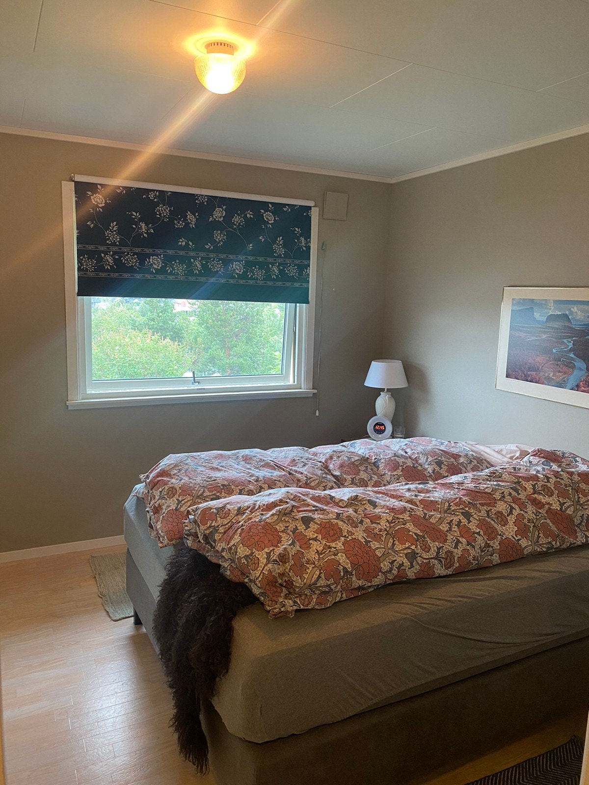 Soverom i 1. etg Galleribilde