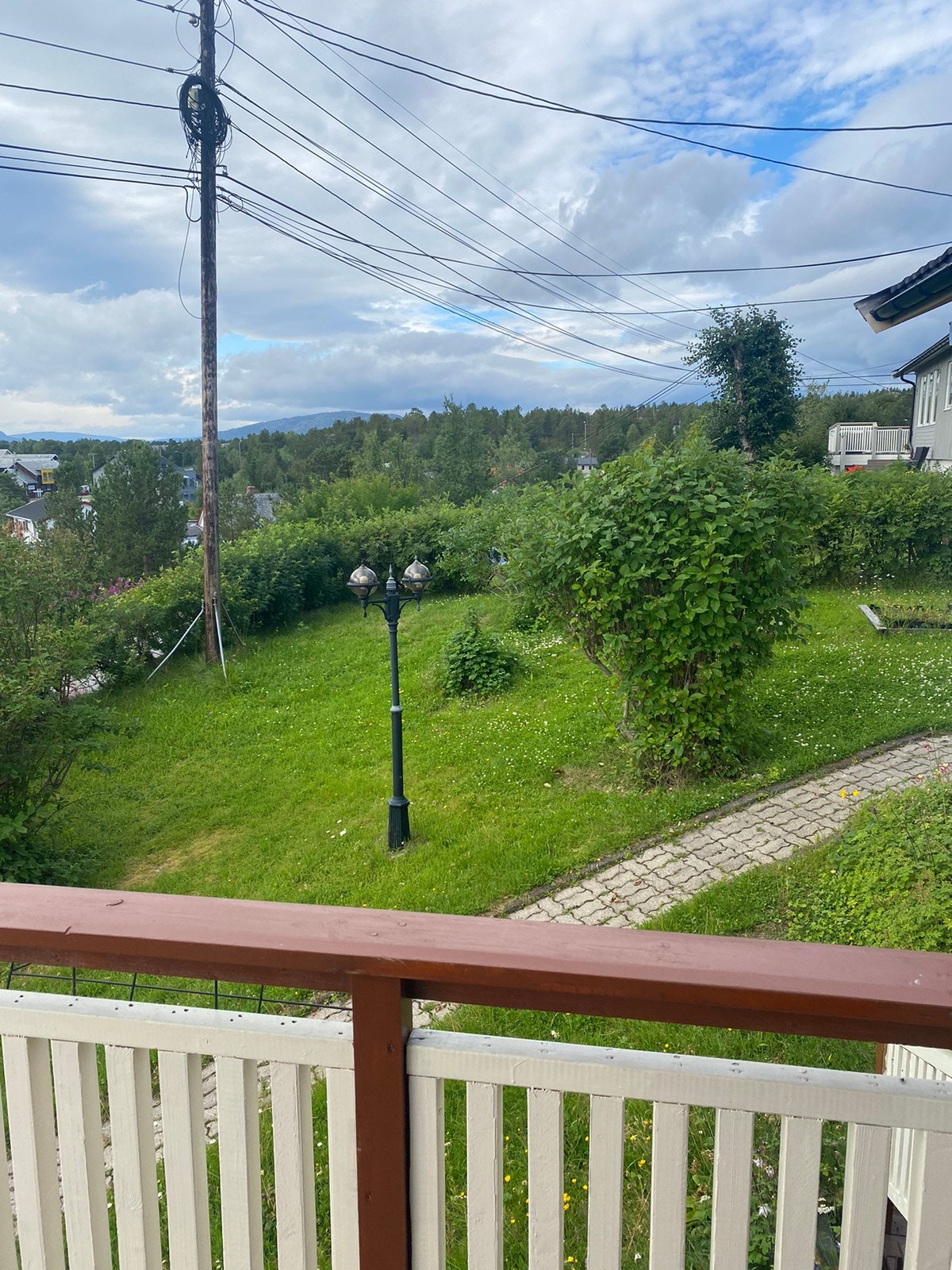 Stor hage Galleribilde