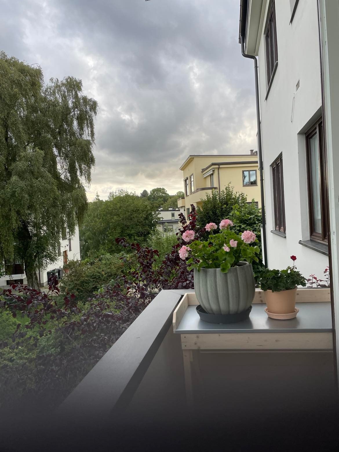 Lyst og grønt, sydvestvendt - bilde 1 aug 2023 Galleribilde