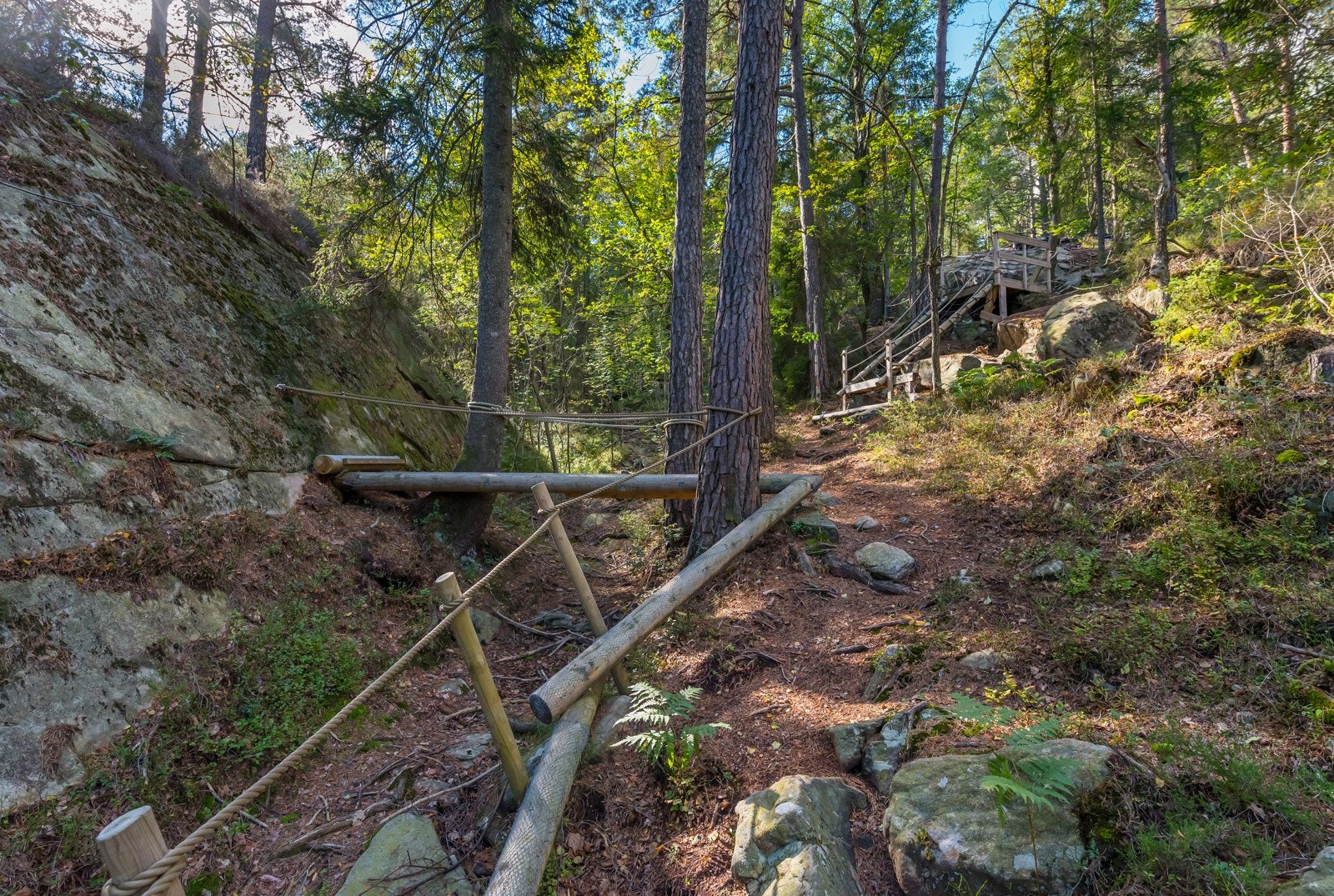 Hinderløype Galleribilde