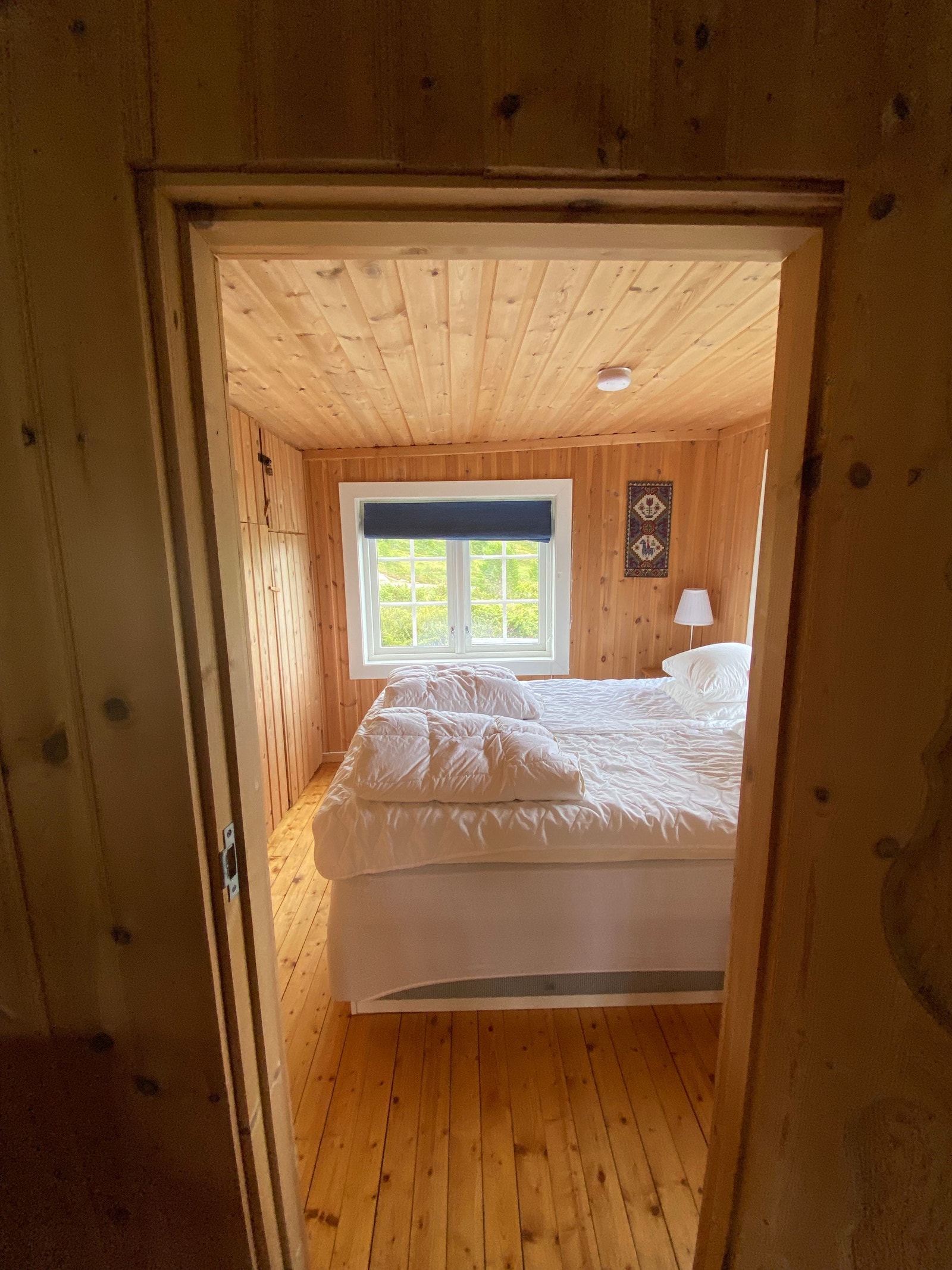 Kontinental seng svane/wonderland Galleribilde