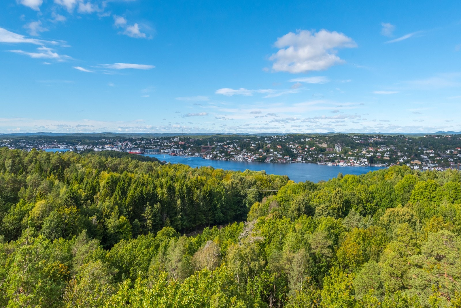 Utsikt fra utsiktstårnet Galleribilde