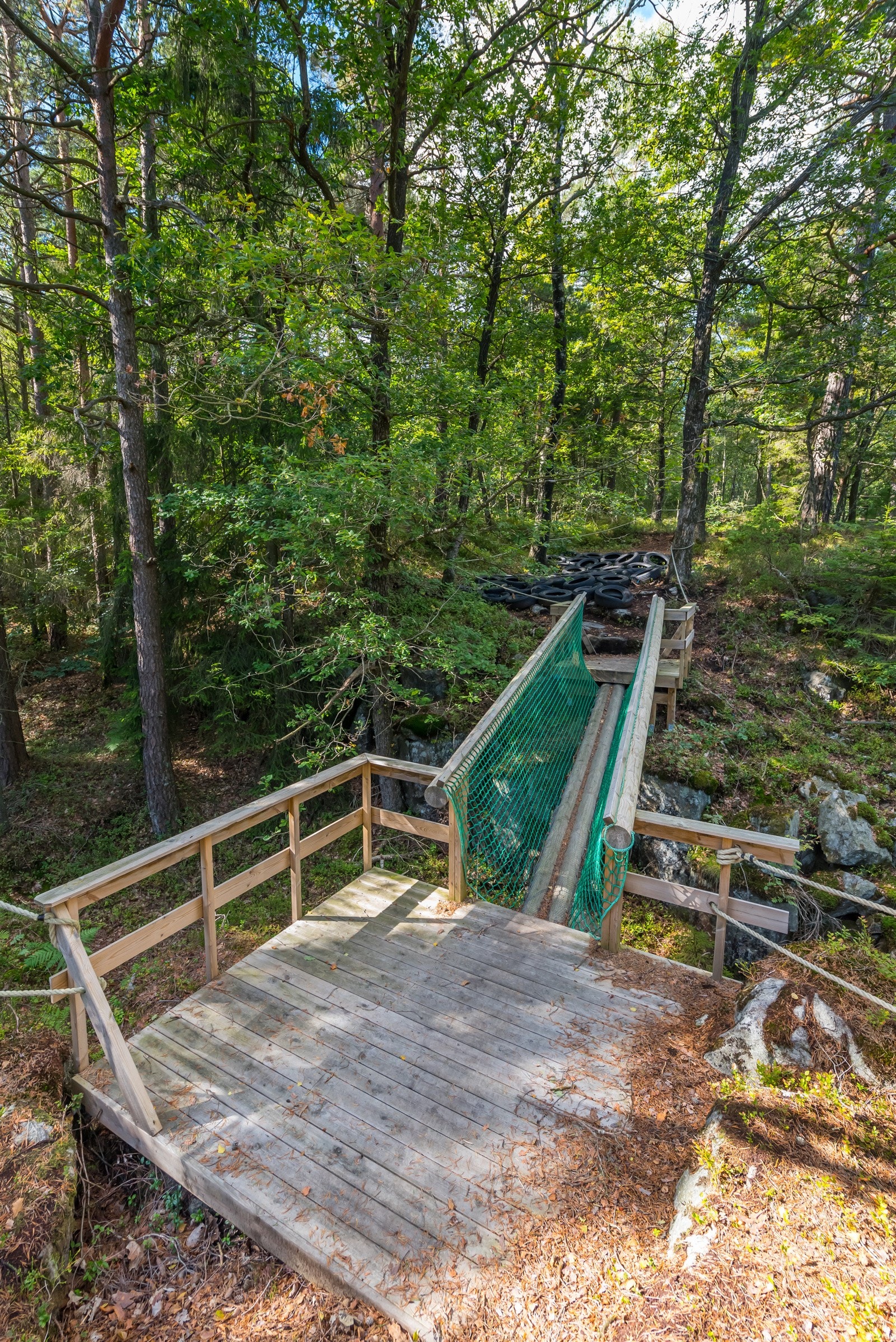 Hinderløype Galleribilde