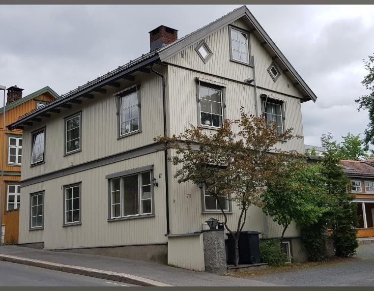 Nyoppusset leilighet i første etasje. Galleribilde