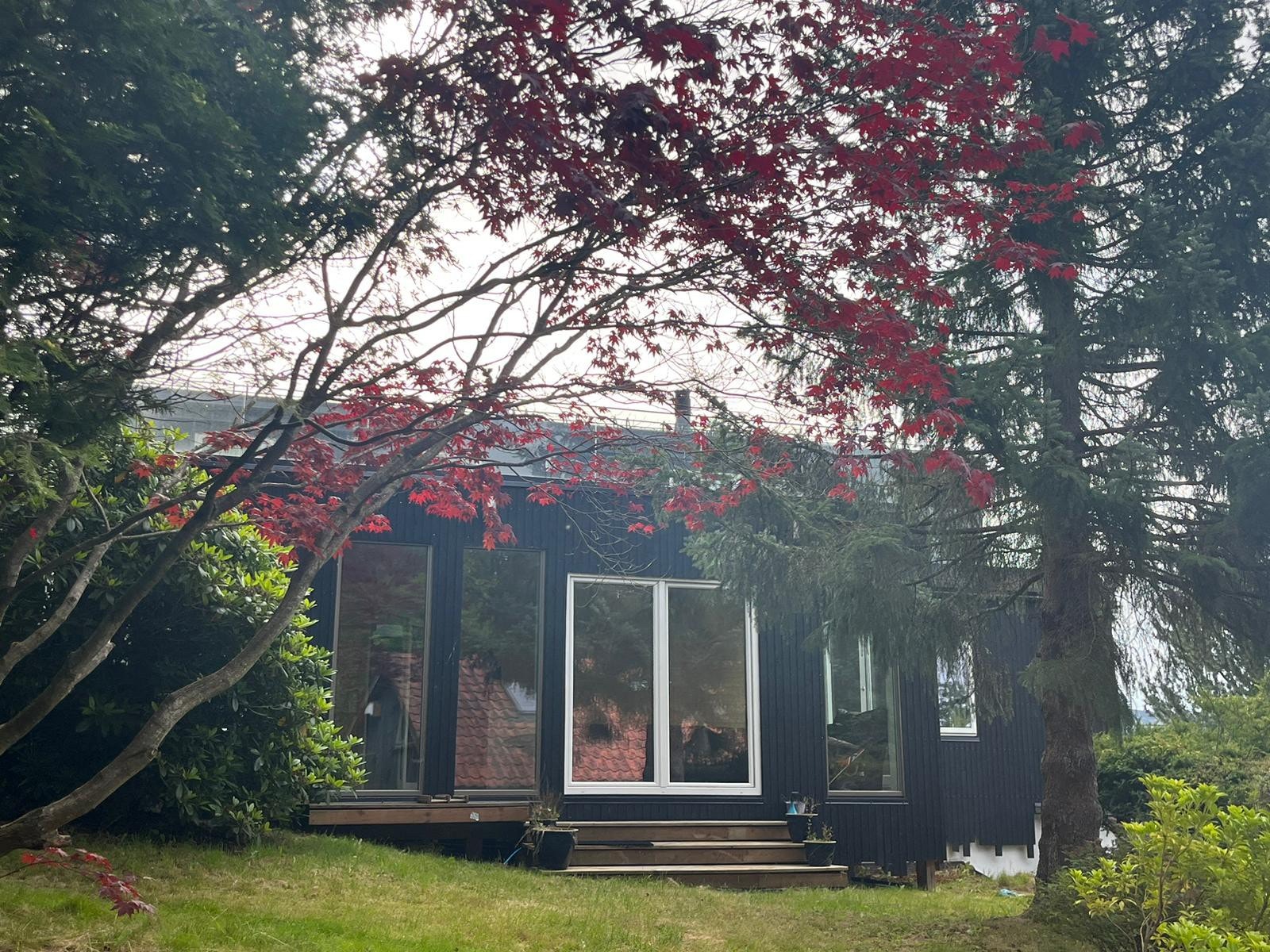 Garden1 Galleribilde