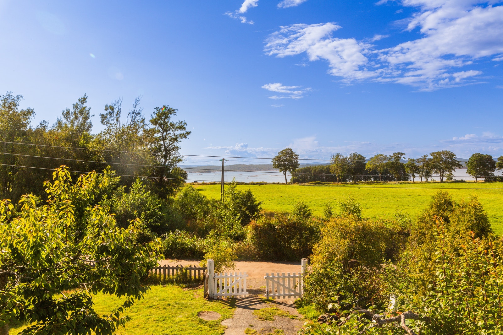 Hagen og utsikten Galleribilde