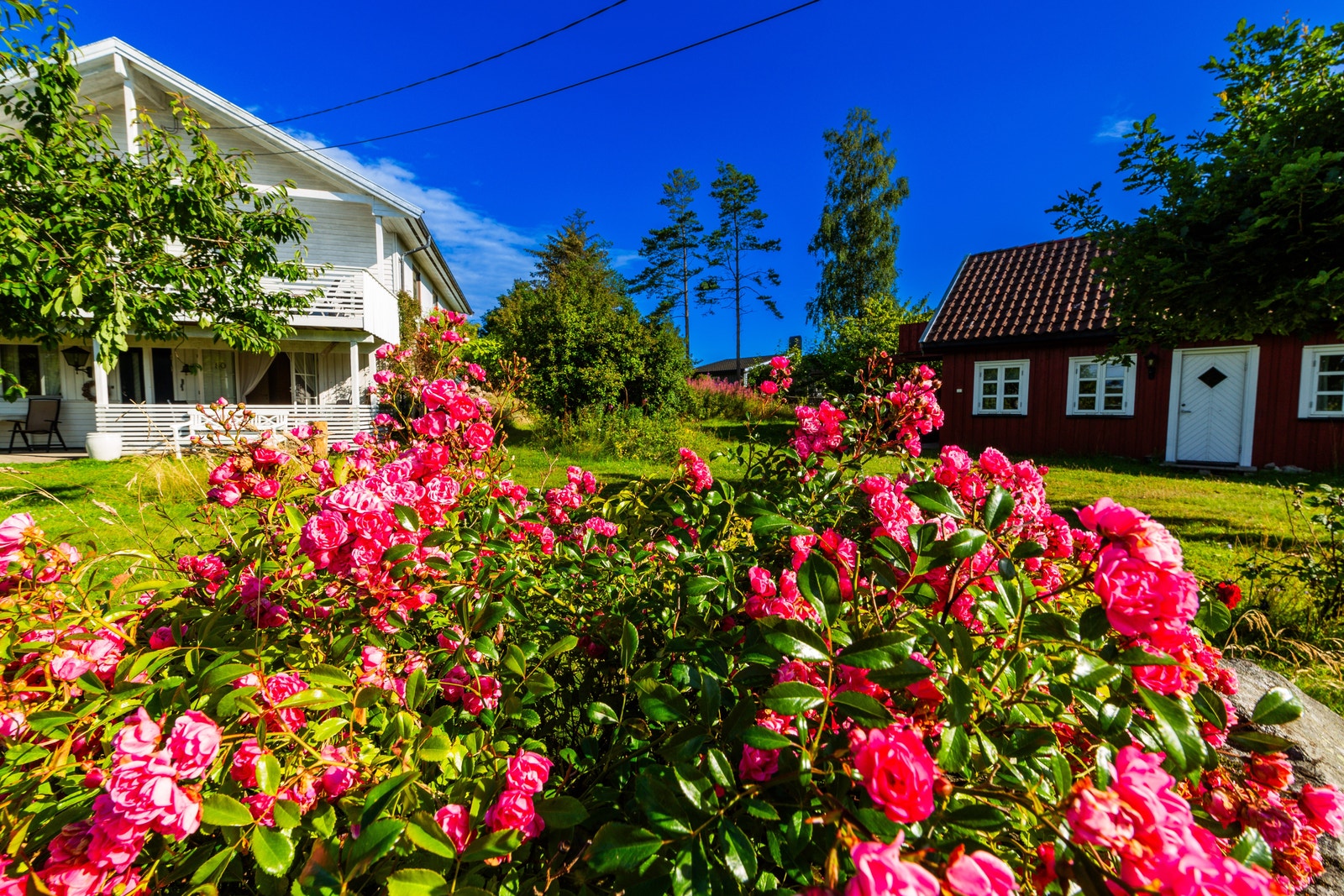 Hovedhuset og Skrivestua Galleribilde