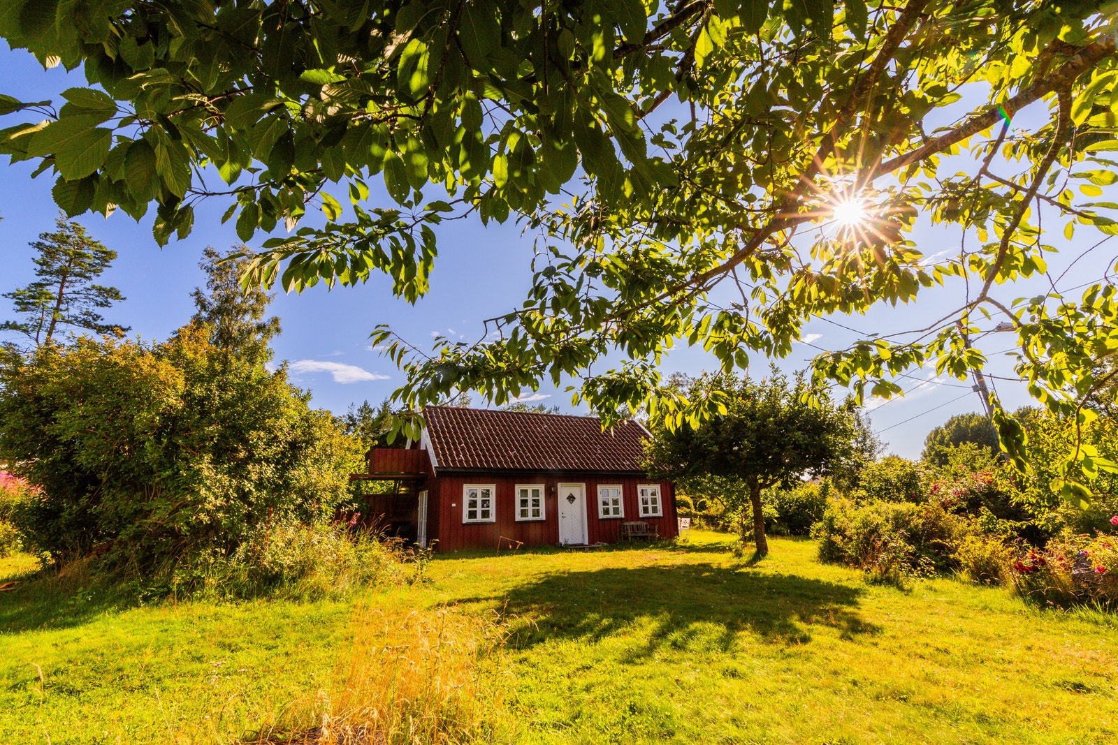Hagen med Skrivestua Galleribilde