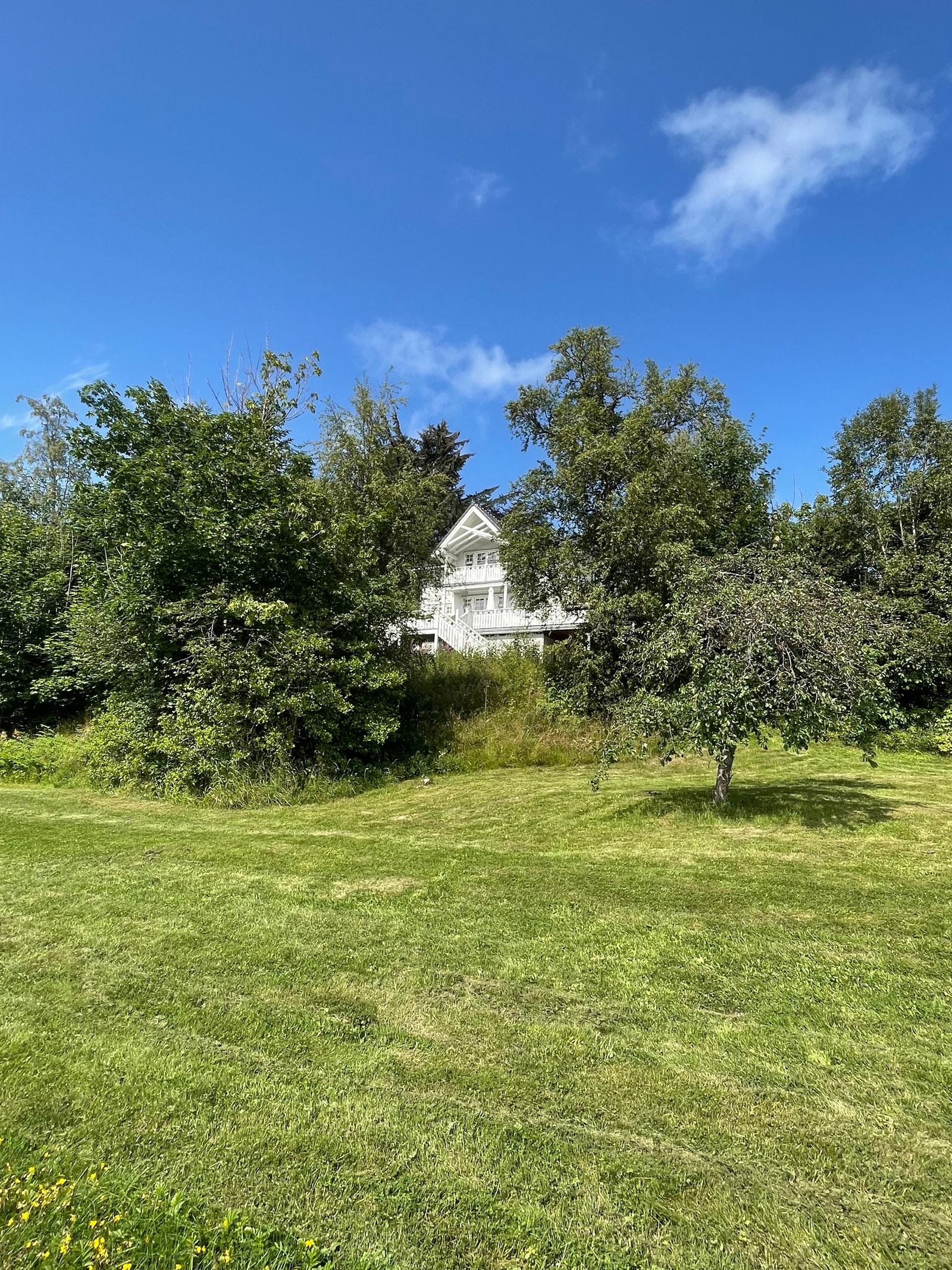 Stor usjenert hage Galleribilde