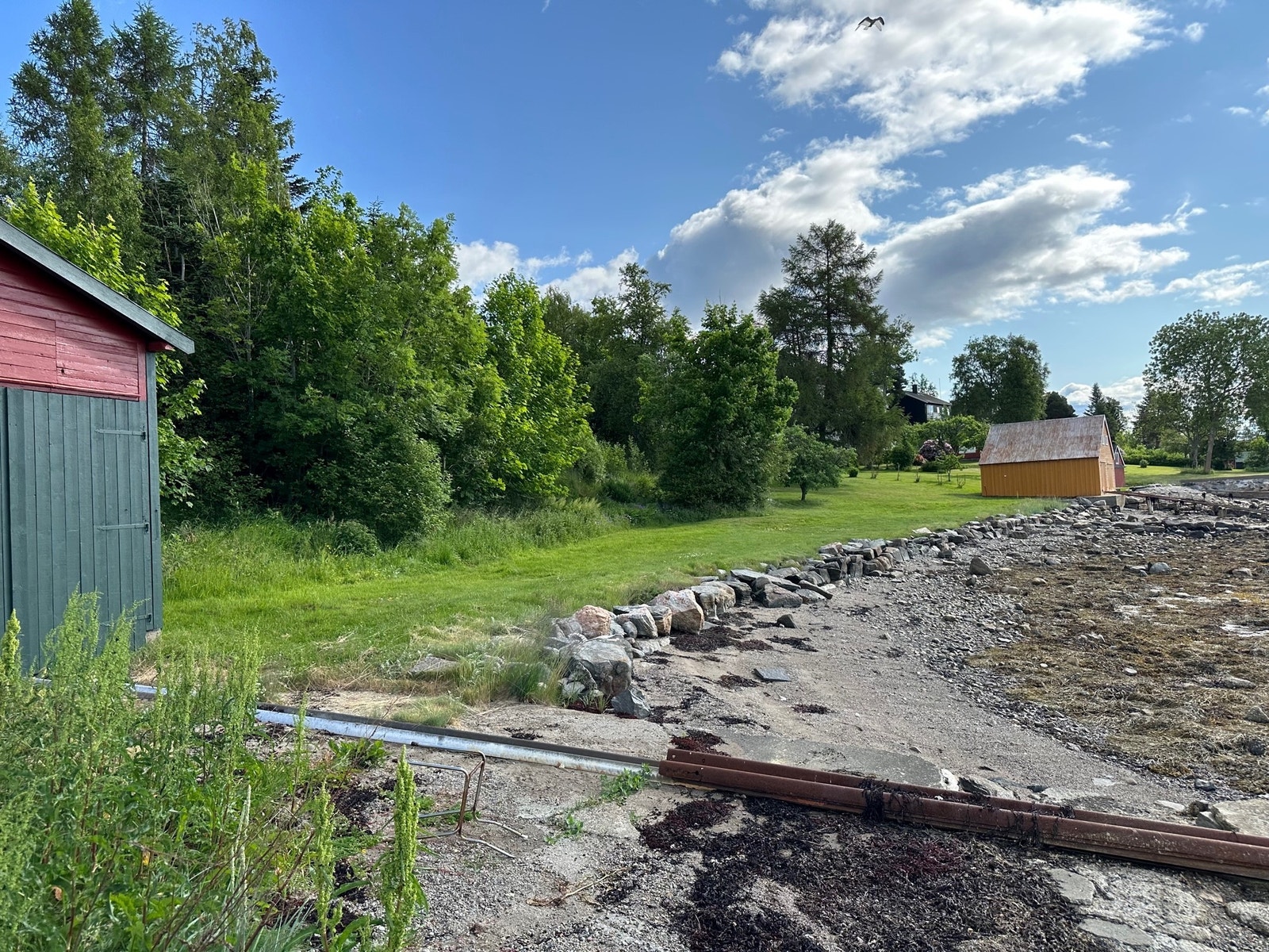 Strandlinje og 2 naust. Galleribilde