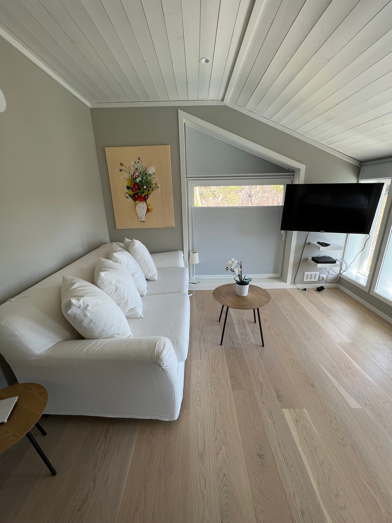 Loftstue med dobbel sovesofa Galleribilde