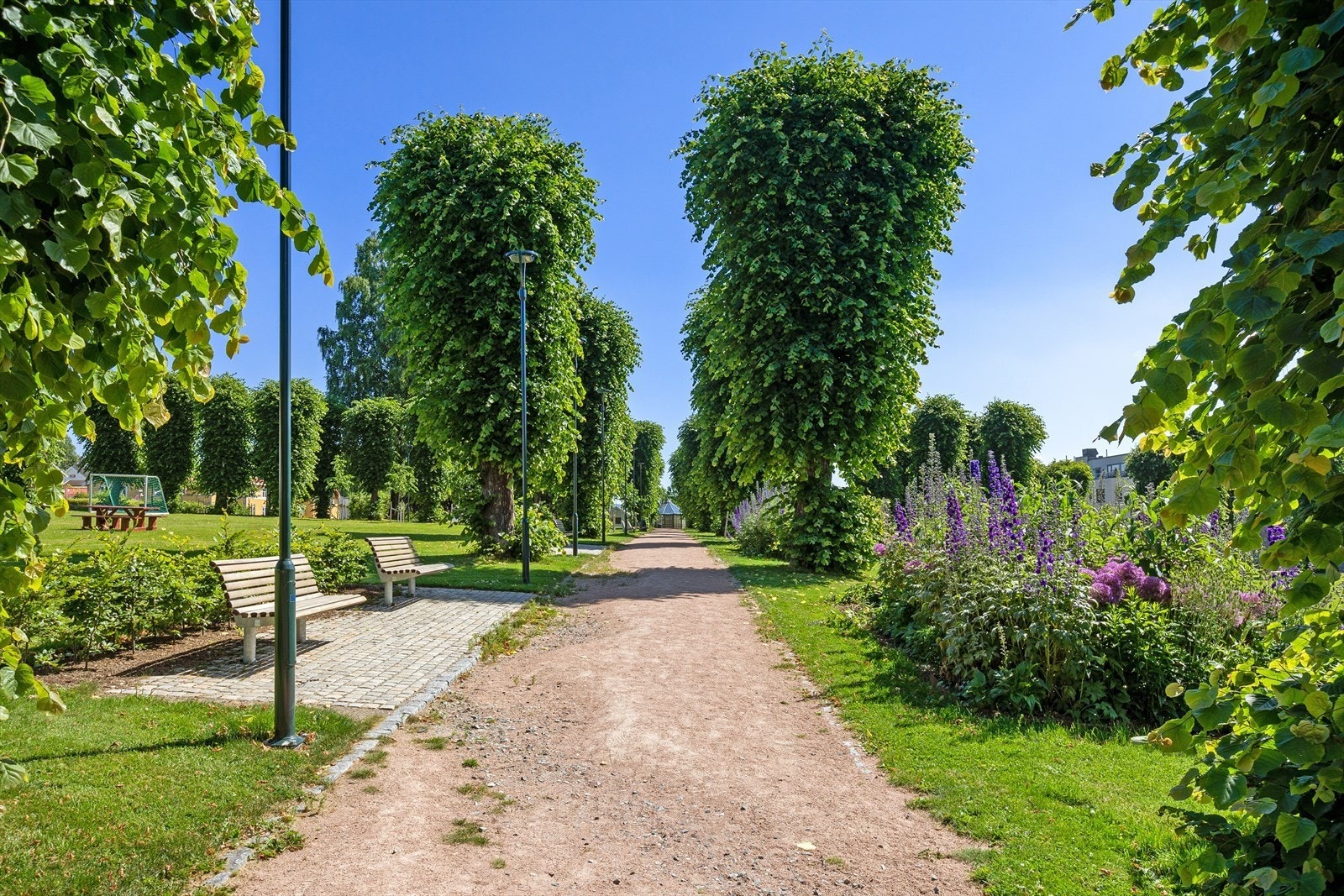 Engene park Galleribilde
