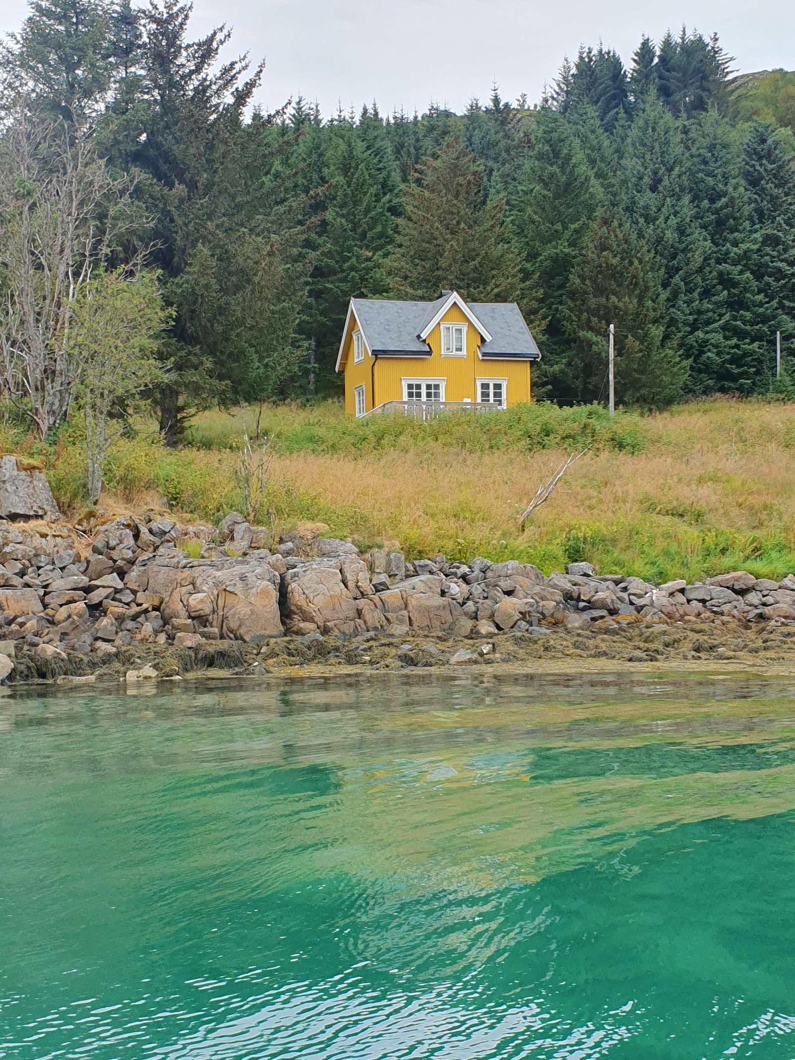Veldig eksotisk her nord.Nordlandshus i tømmer fra 1924. Galleribilde