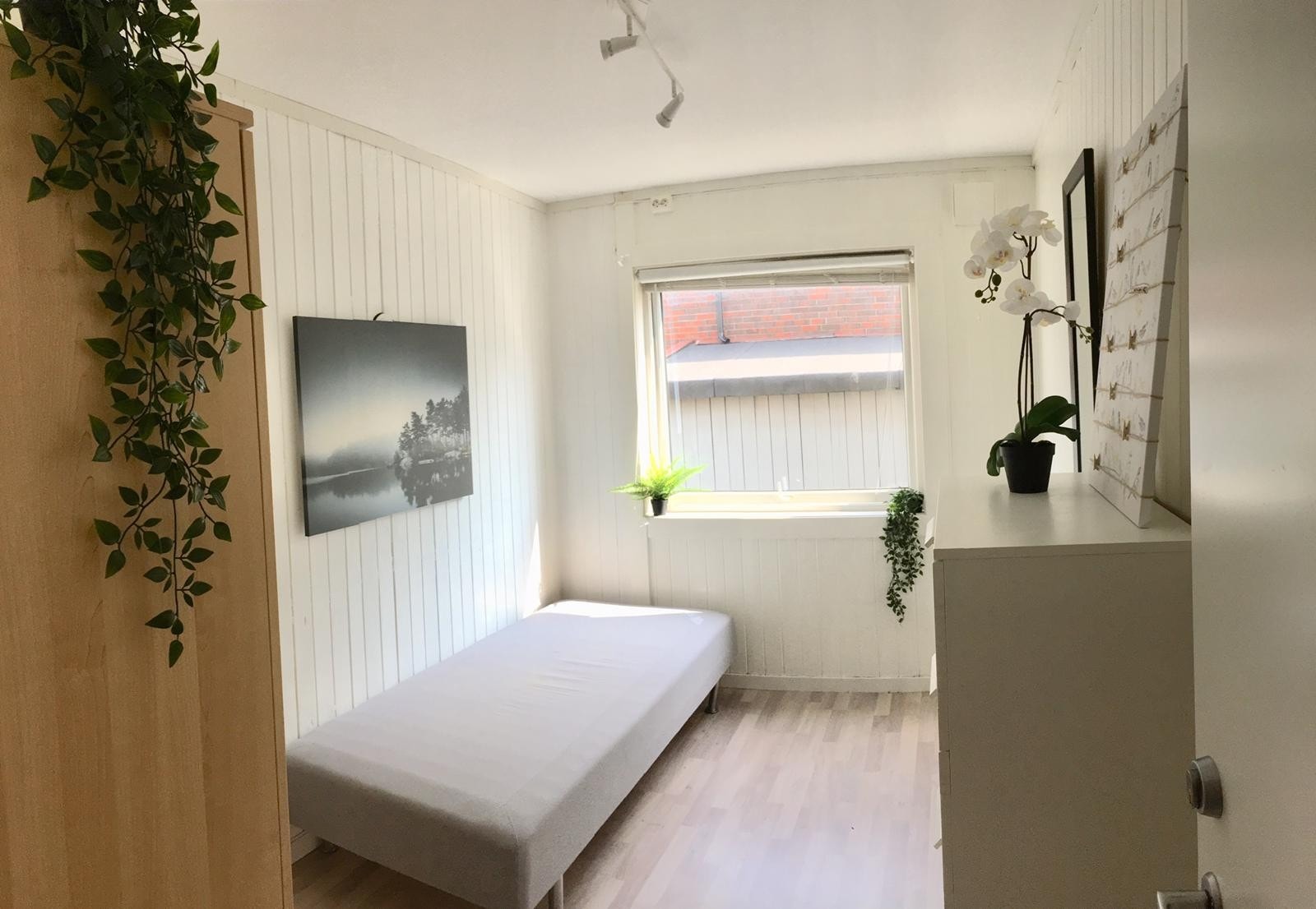 Rom 1, 5900 Galleribilde