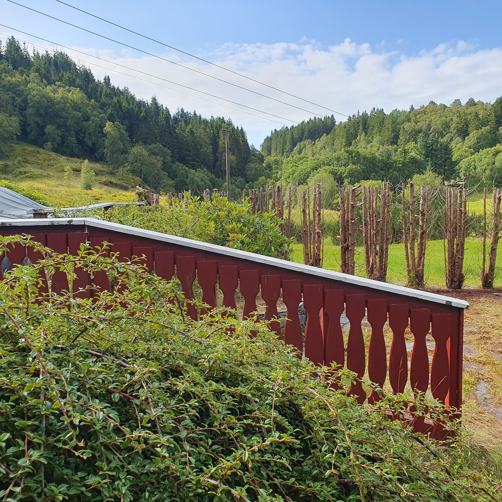 Hagen sett fra garasjen, ser mot vest. Turveien går opp skaret midt i bildet, der ligger en ridebane og videre fra skaret ligger Bjørnevatnet hvor det er fint å bade. 10-15 min å gå fra huset. Galleribilde