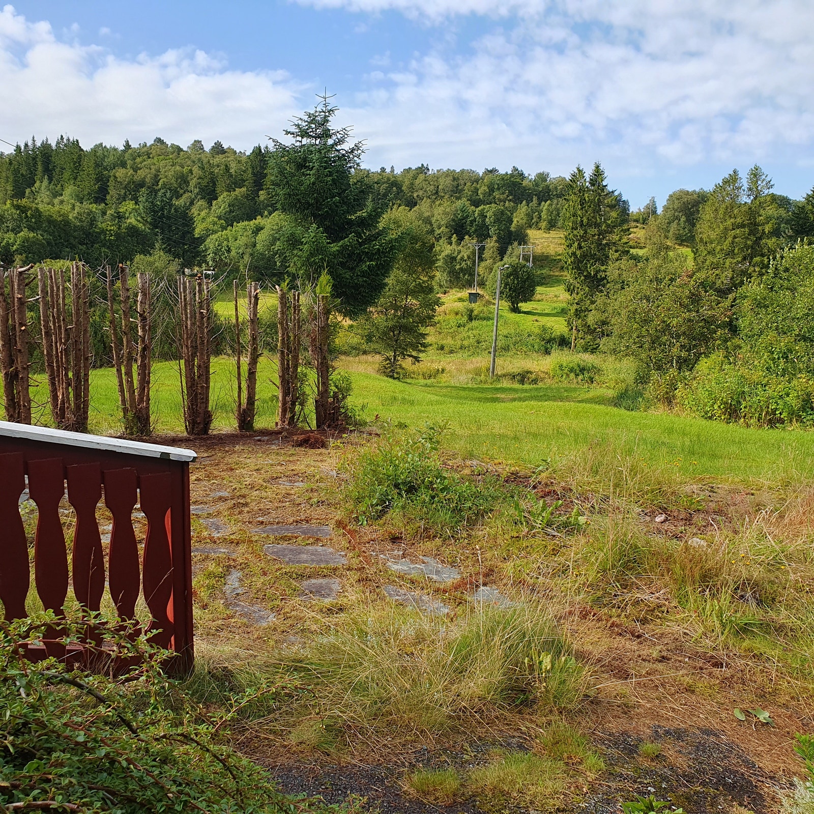Hagen sett fra garasjen, ser mot vest. Galleribilde