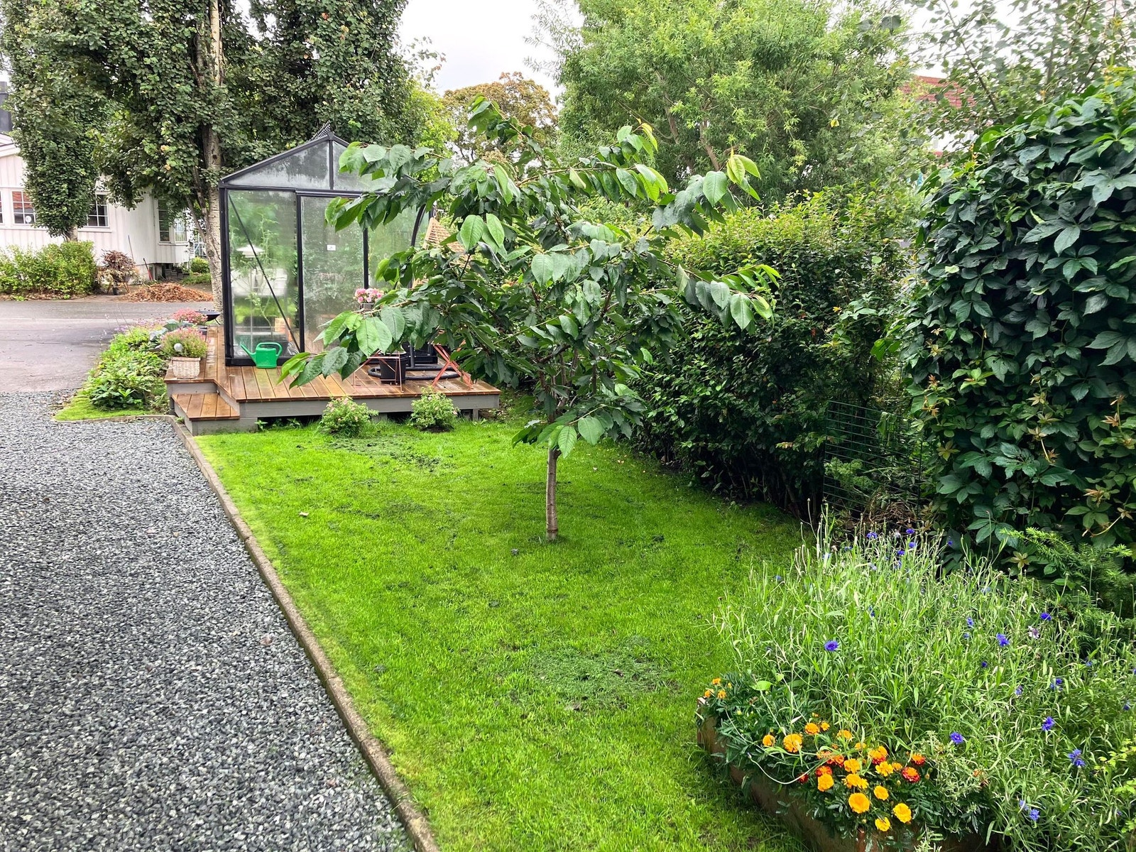 Utsikt til liten hage fra stue og kjøkken. Galleribilde