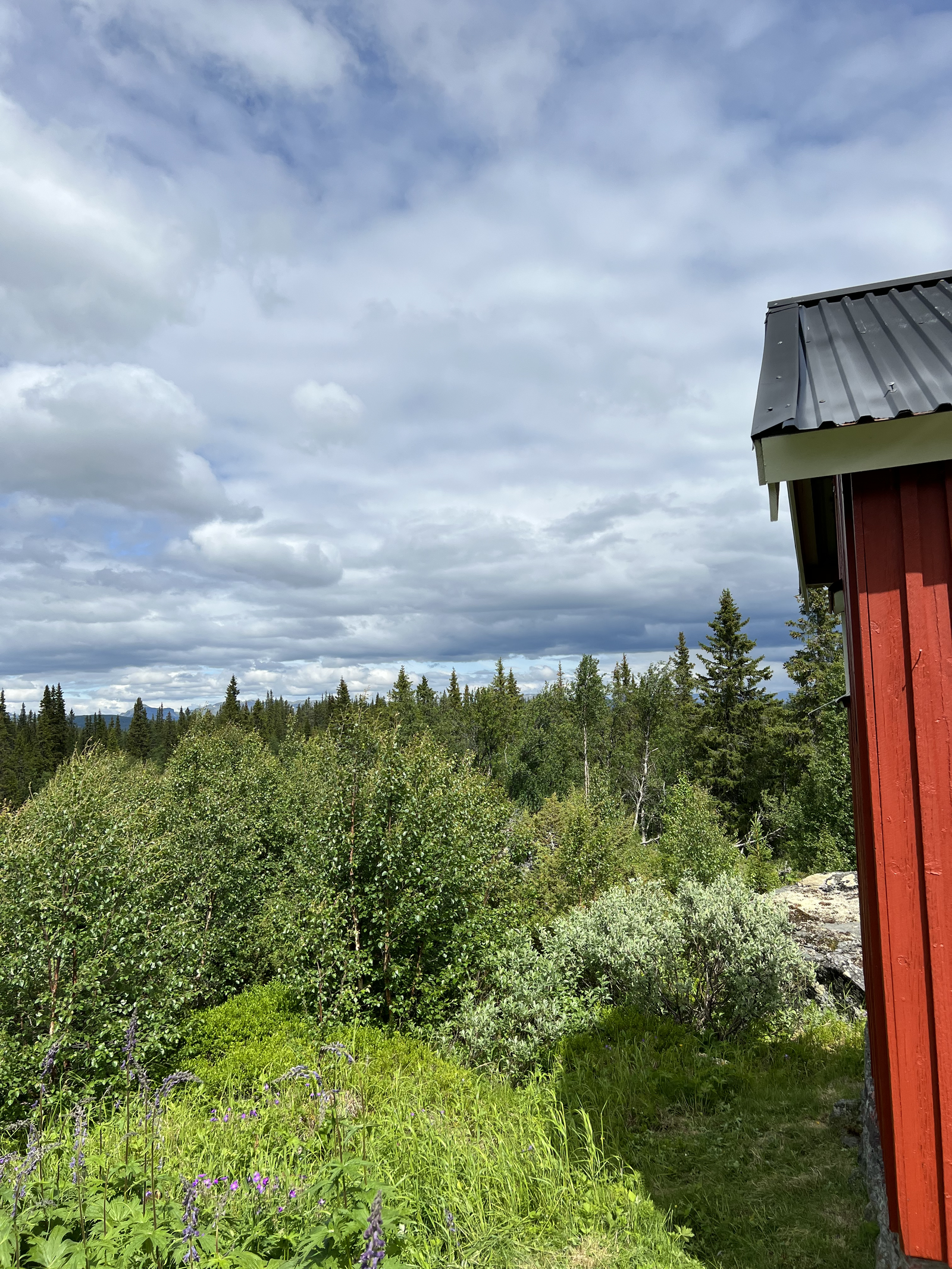 Finn utsikt over fjellterenget på veståsen Galleribilde