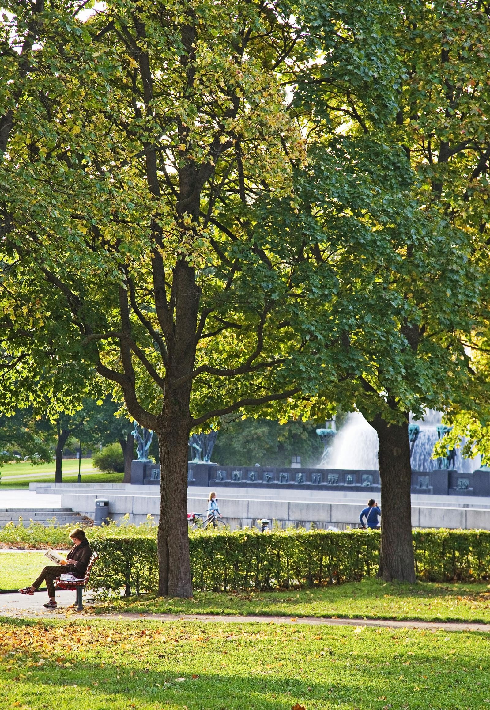 Frognerparken er et fantastisk sted! Fotokred:ZOvenfra Galleribilde