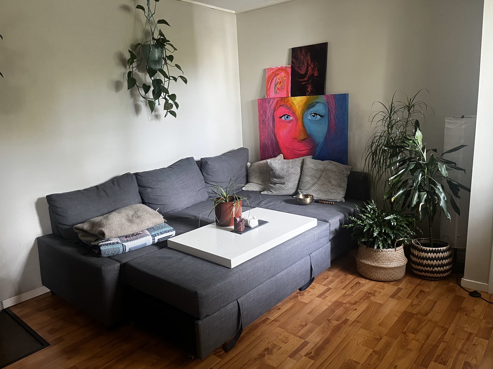 Stue med sovesofa utslått Galleribilde