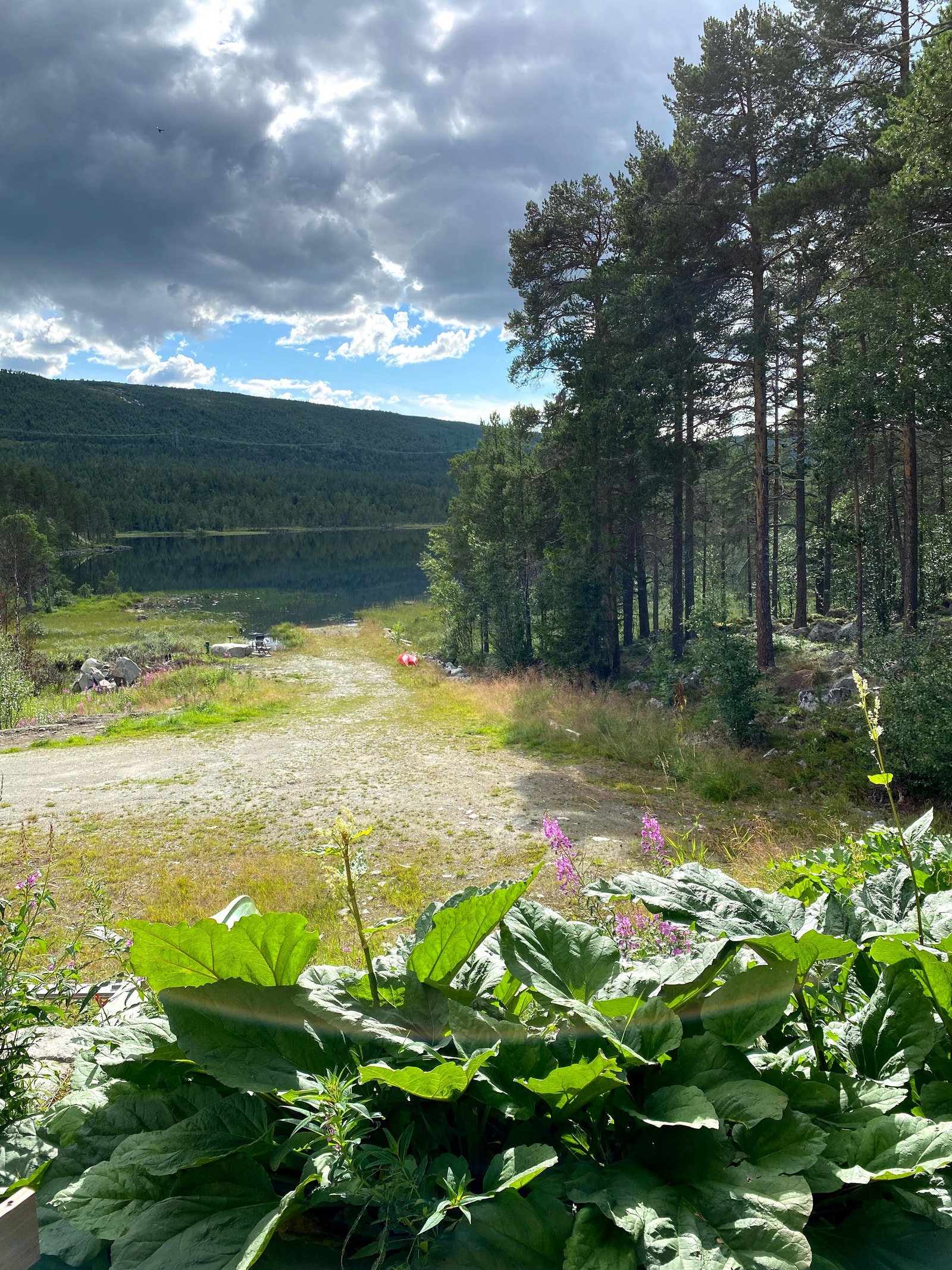 Omgivelser Galleribilde