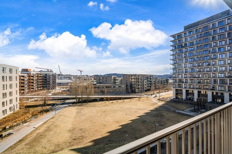 Utsikt mot parkdrag. Solen er på balkongen fra tidlig på morgenen til ca. 16:00 på sommerstid. Galleribilde