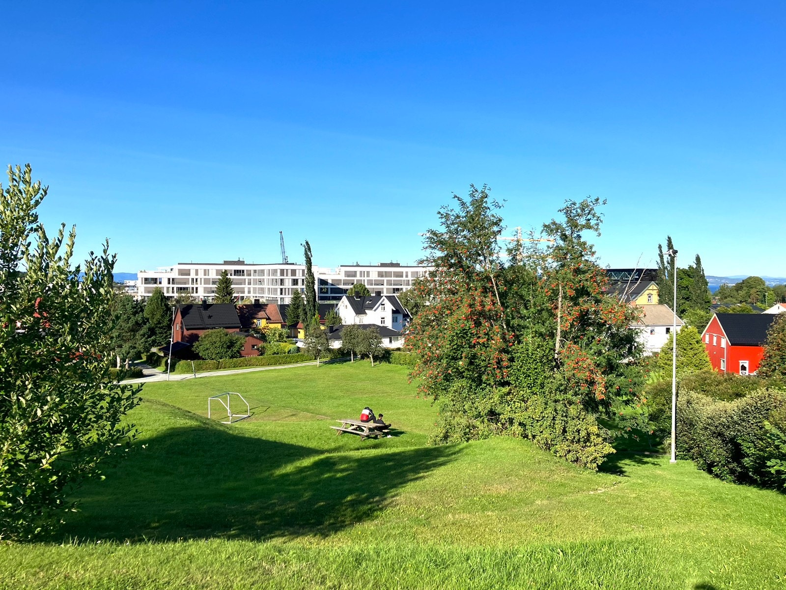 Pineberg friluftsområde. Fotball, frisbee, grilling. Galleribilde