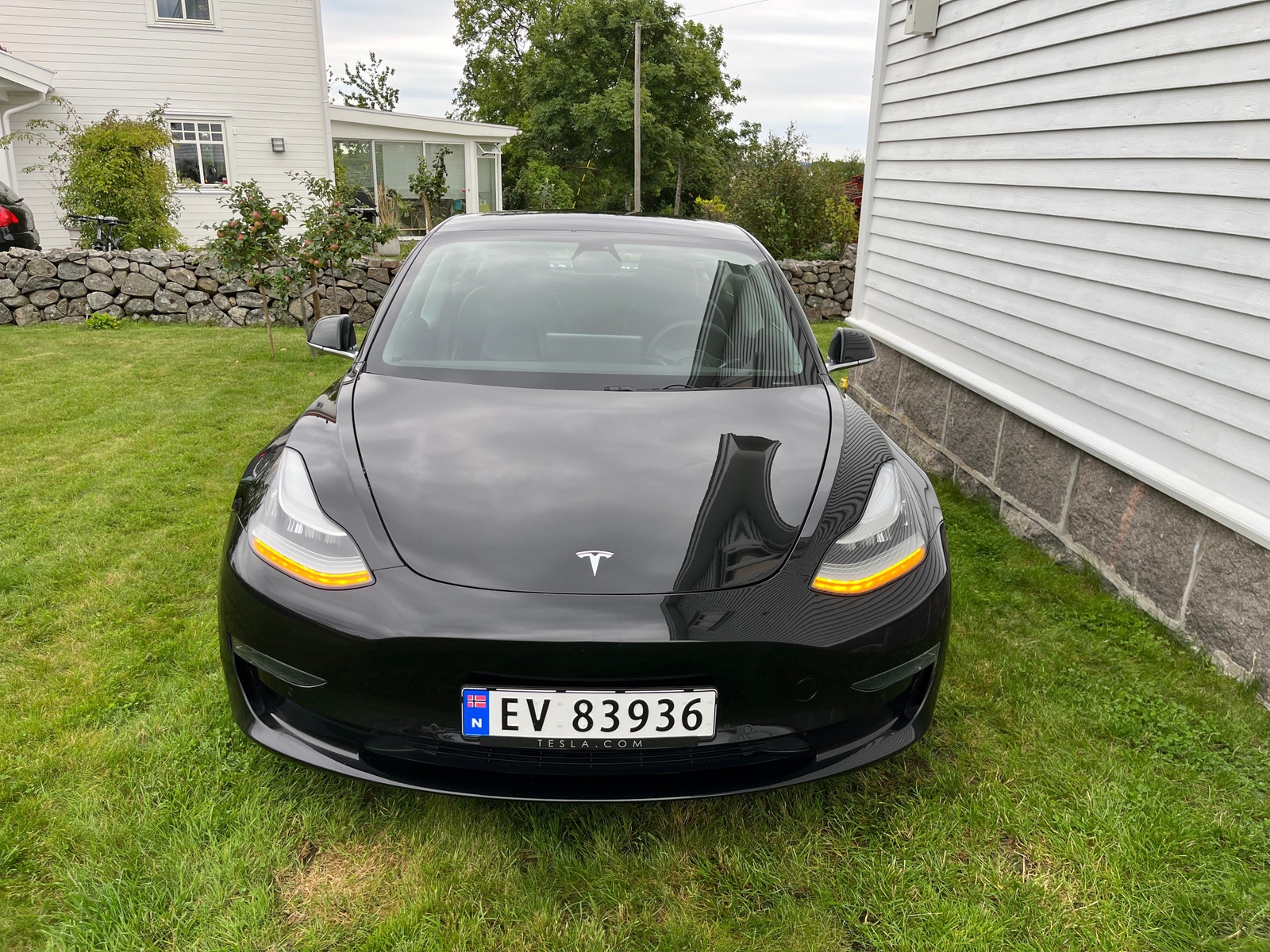 Tesla Model 3 3