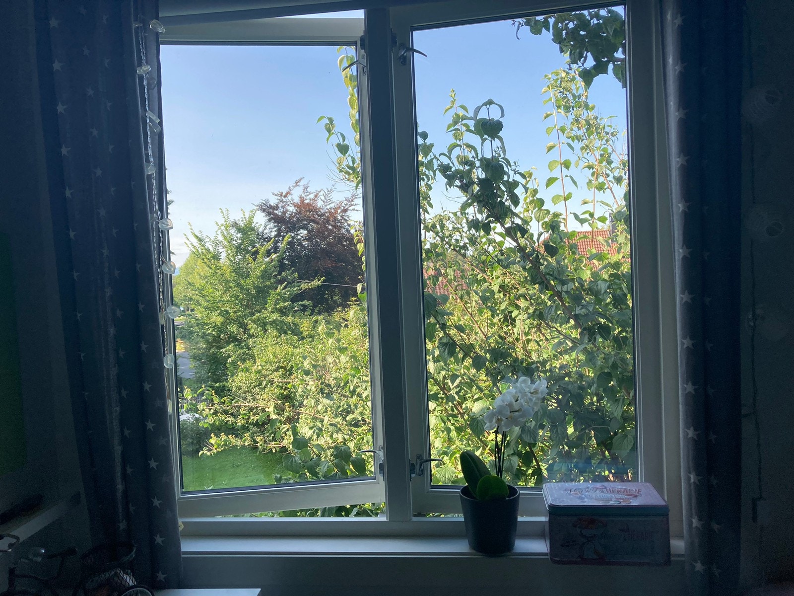 Utsikt fra rommet som er til utleie, mot hagen. Stille og rolig. Galleribilde