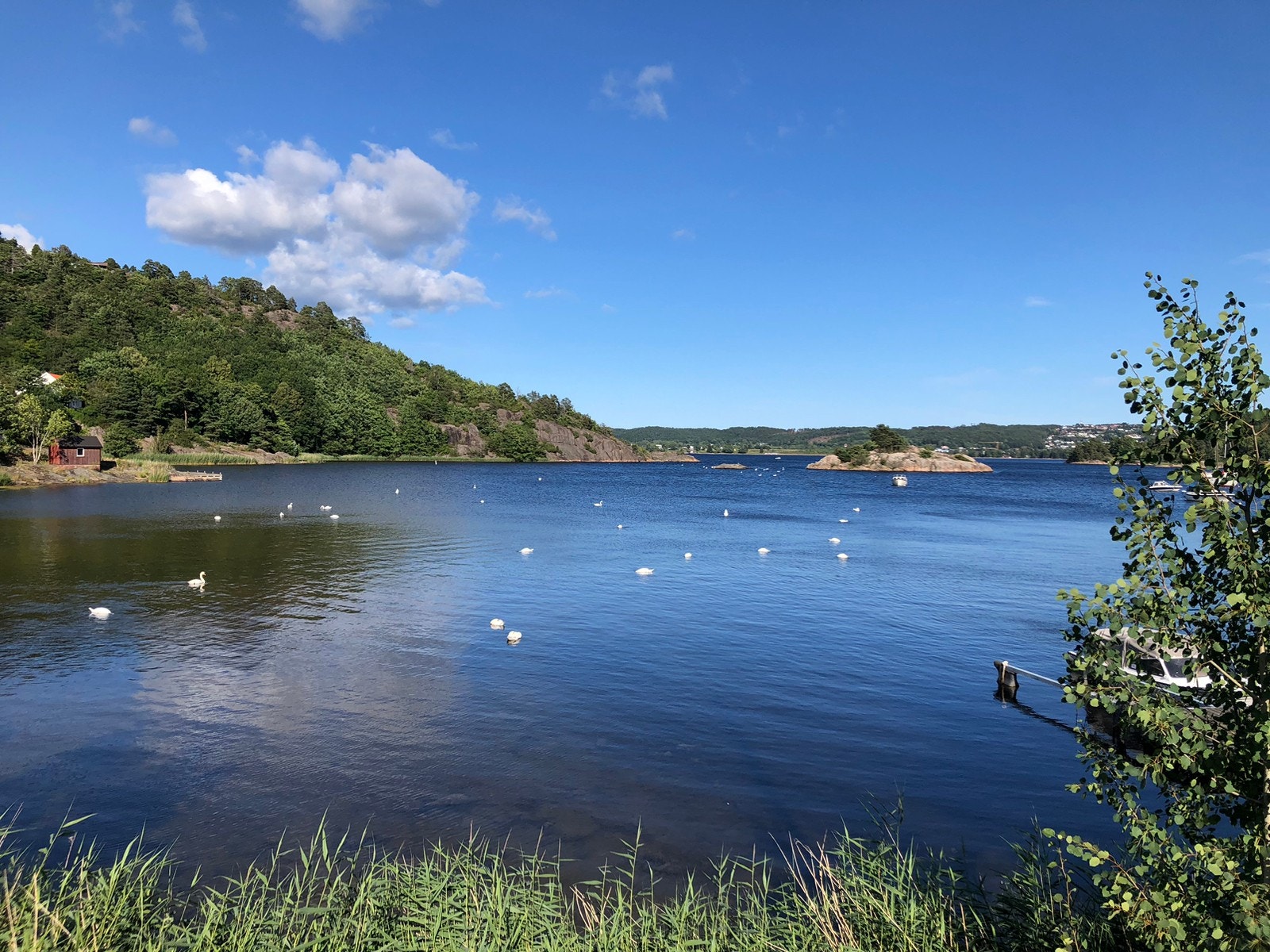 Topdalsfjorden (100m) Galleribilde