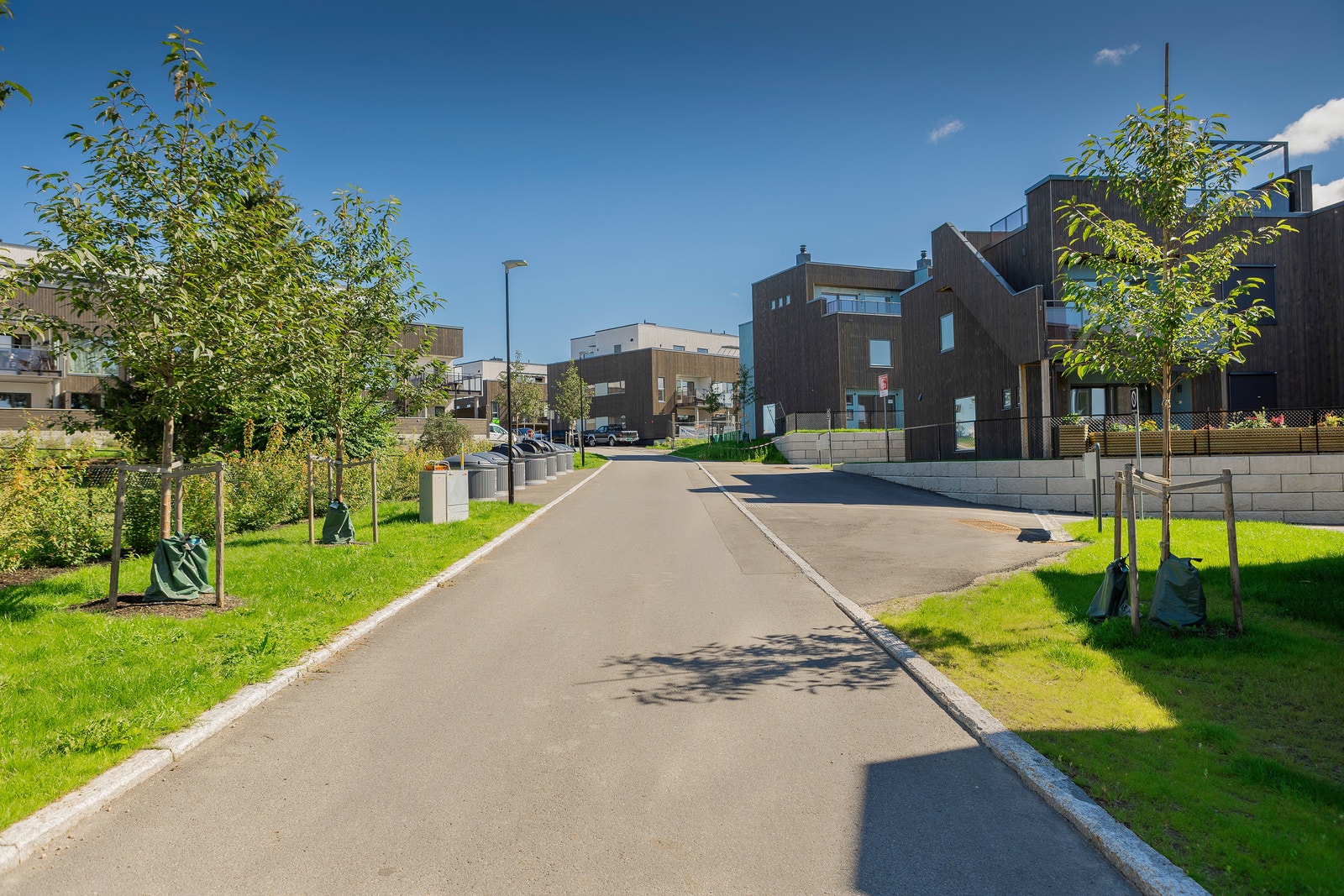 Havretoppen Galleribilde