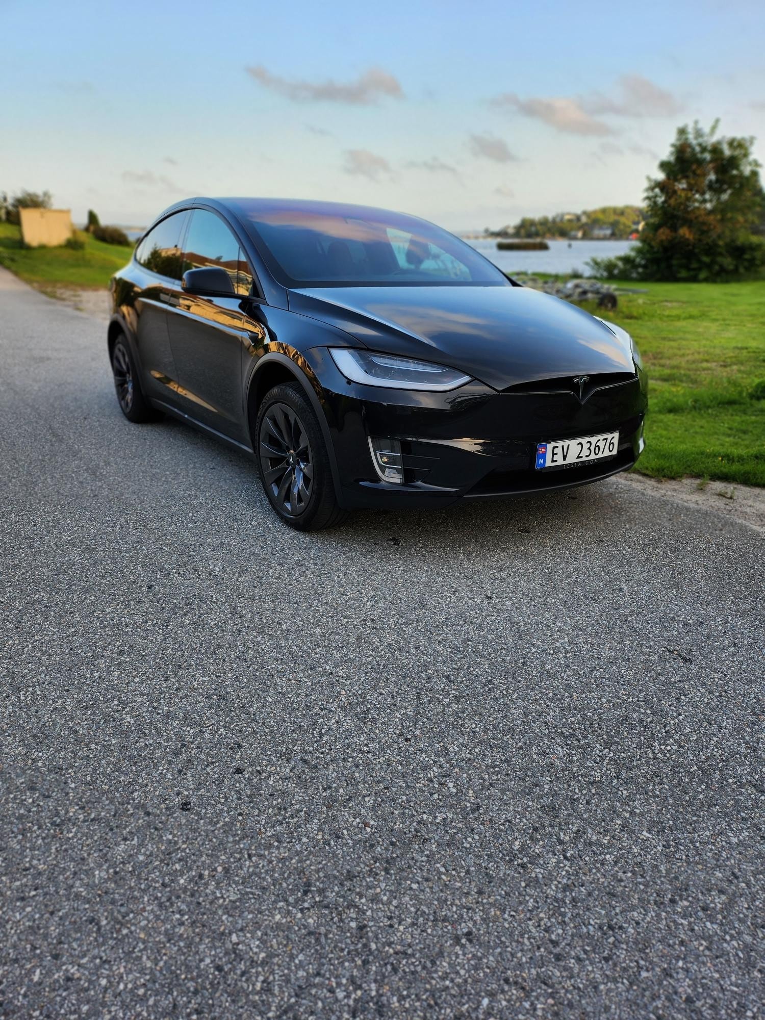 Tesla Model X 2