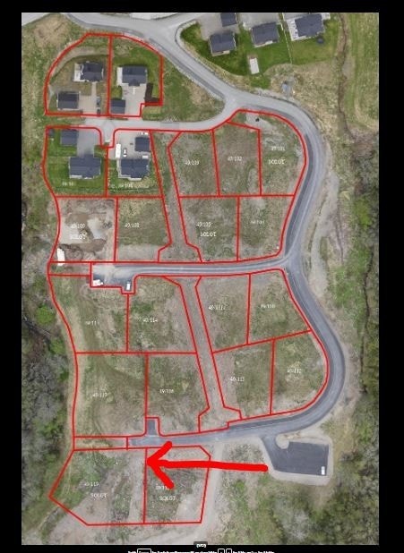 Tomten markert med rød pil Galleribilde